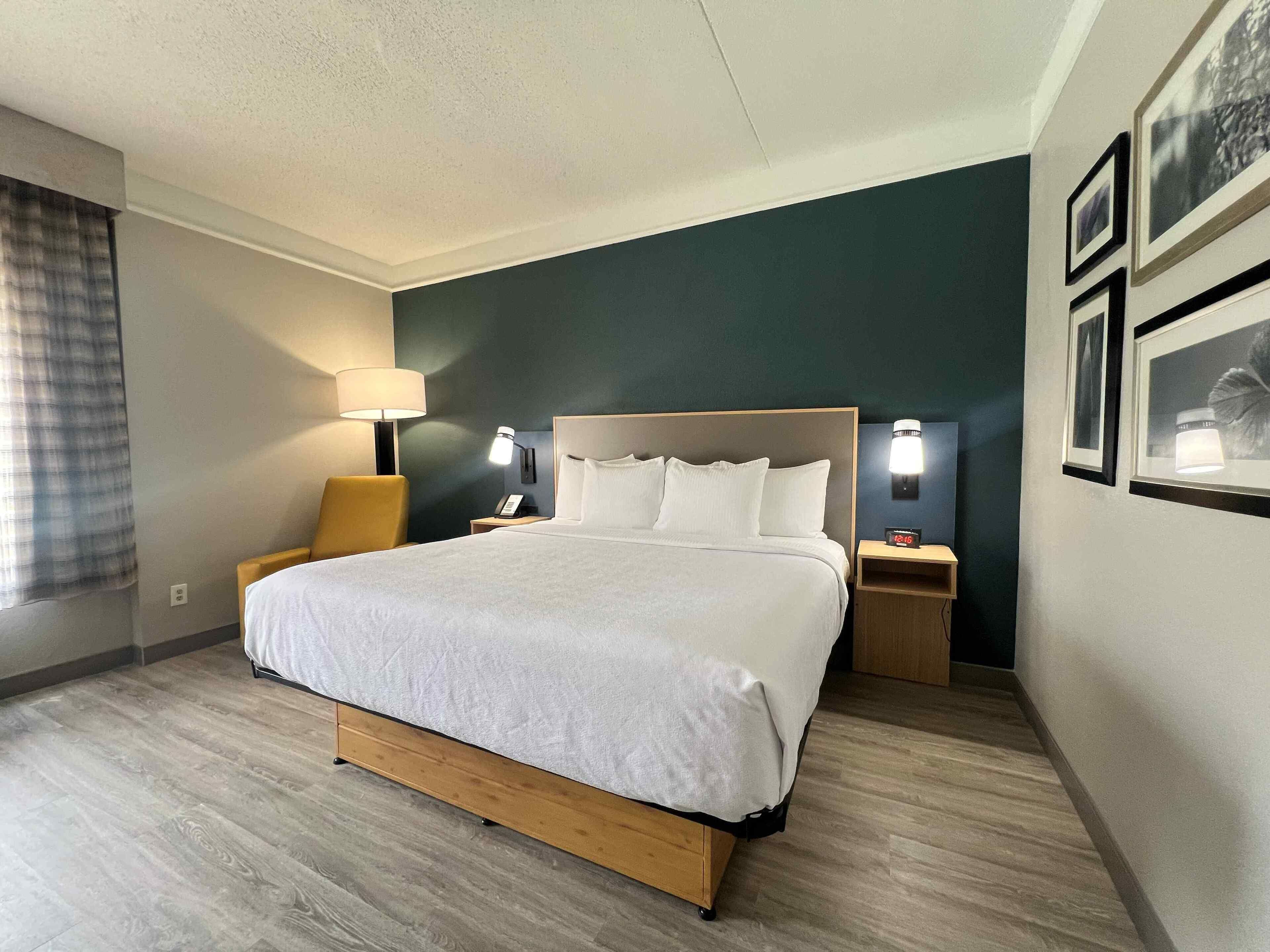 Deluxe Room, 1 King Bed, Non Smoking | Premium bedding, desk, laptop workspace, iron/ironing board