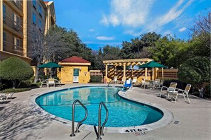 Outdoor pool, sun loungers