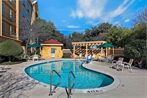 Outdoor pool, sun loungers