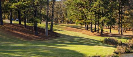 A golf course with a water body, trees, and a clear sky.