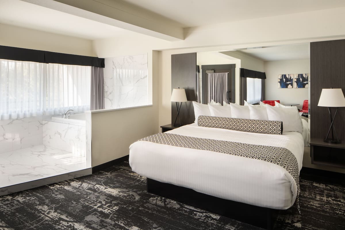 A hotel room with a large bed, a bathroom with a marble tub, and a view of the city.