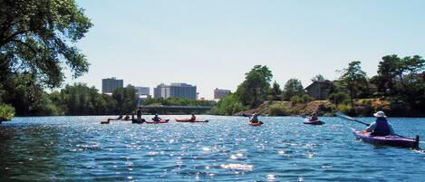 Un grupo de personas haciendo kayak en un río tranquilo, con un paisaje urbano al fondo.