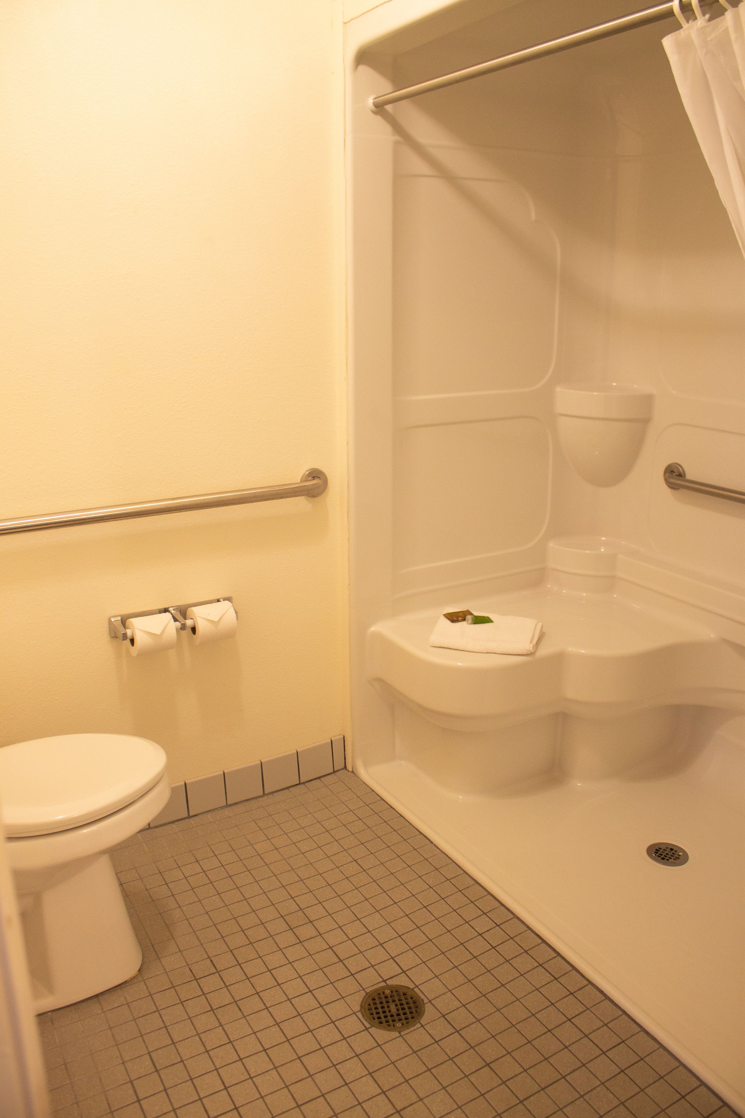 A bathroom with a toilet, a shower, and a grab bar.