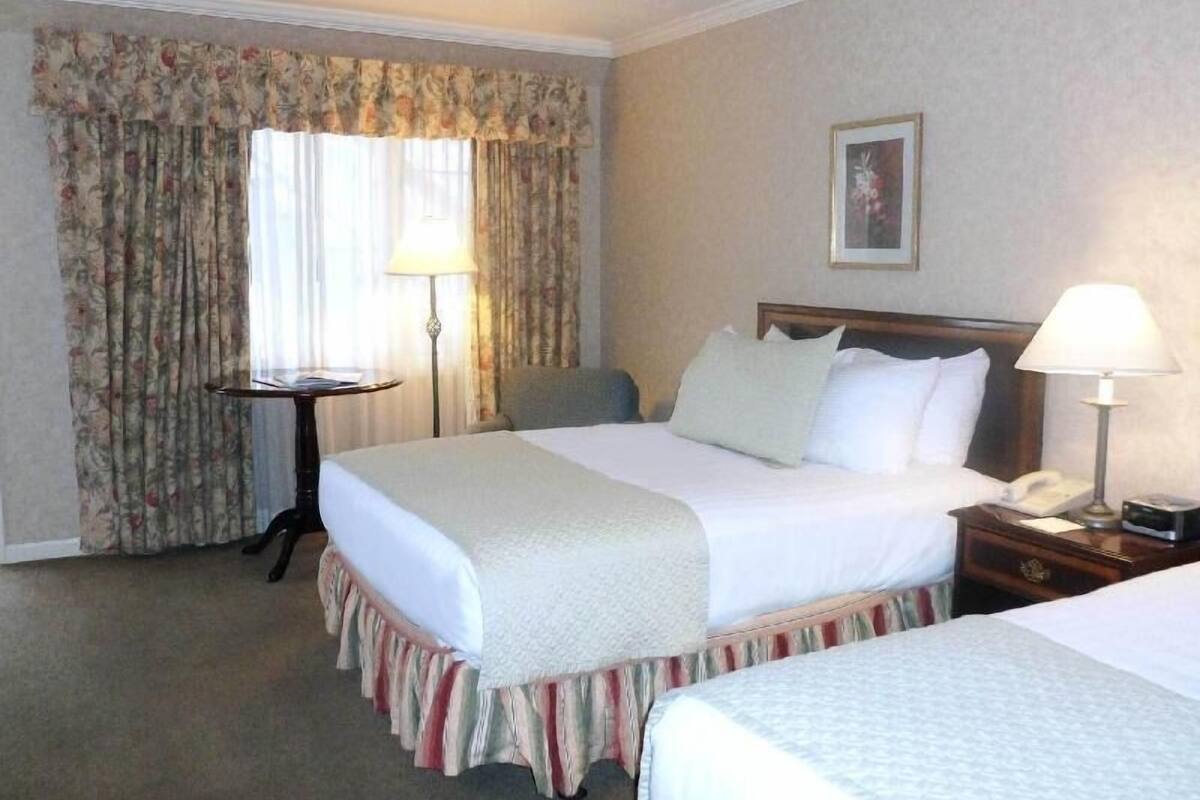 A hotel room with a bed, bedside tables, a lamp, a nightstand, and a window with curtains.