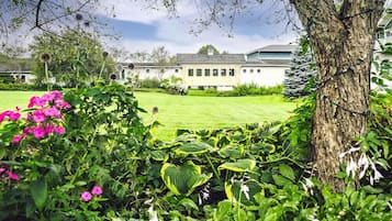 Un jardí ben cuidat amb una varietat de plantes i flors, un arbre gran i un edifici al fons.