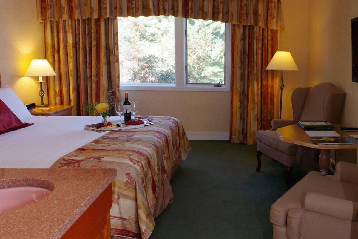 Deluxe Room, 1 Queen Bed | Desk, laptop workspace, blackout curtains, iron/ironing board