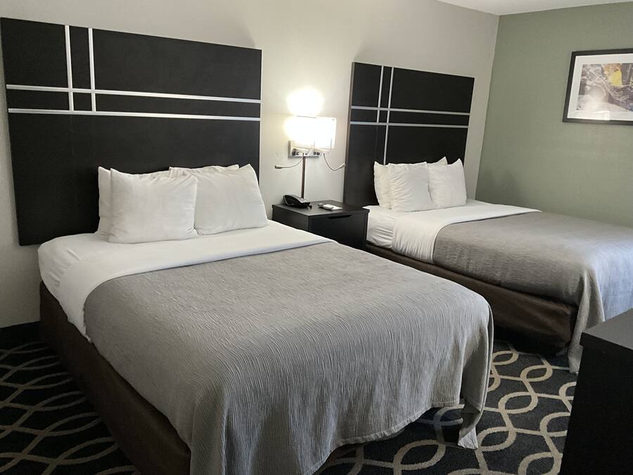Une chambre d’hôtel avec deux lits, une table de chevet avec une lampe et une moquette à motifs.