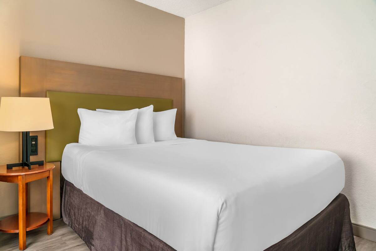 A hotel room with a bed, a nightstand, and a lamp.
