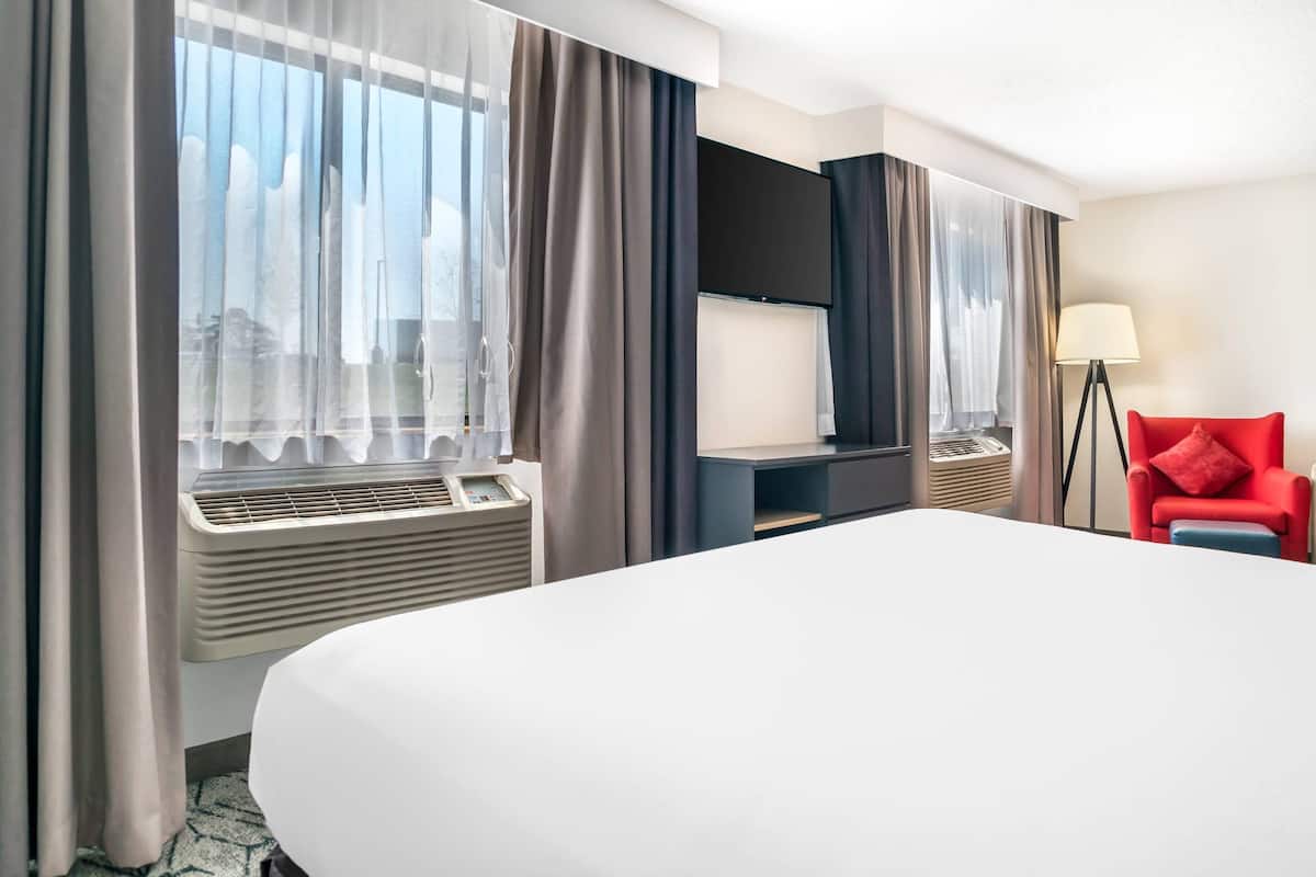 Room, 1 King Bed, Accessible, Non Smoking (Roll-in Shower) | Premium bedding, down duvets, pillow-top beds, in-room safe