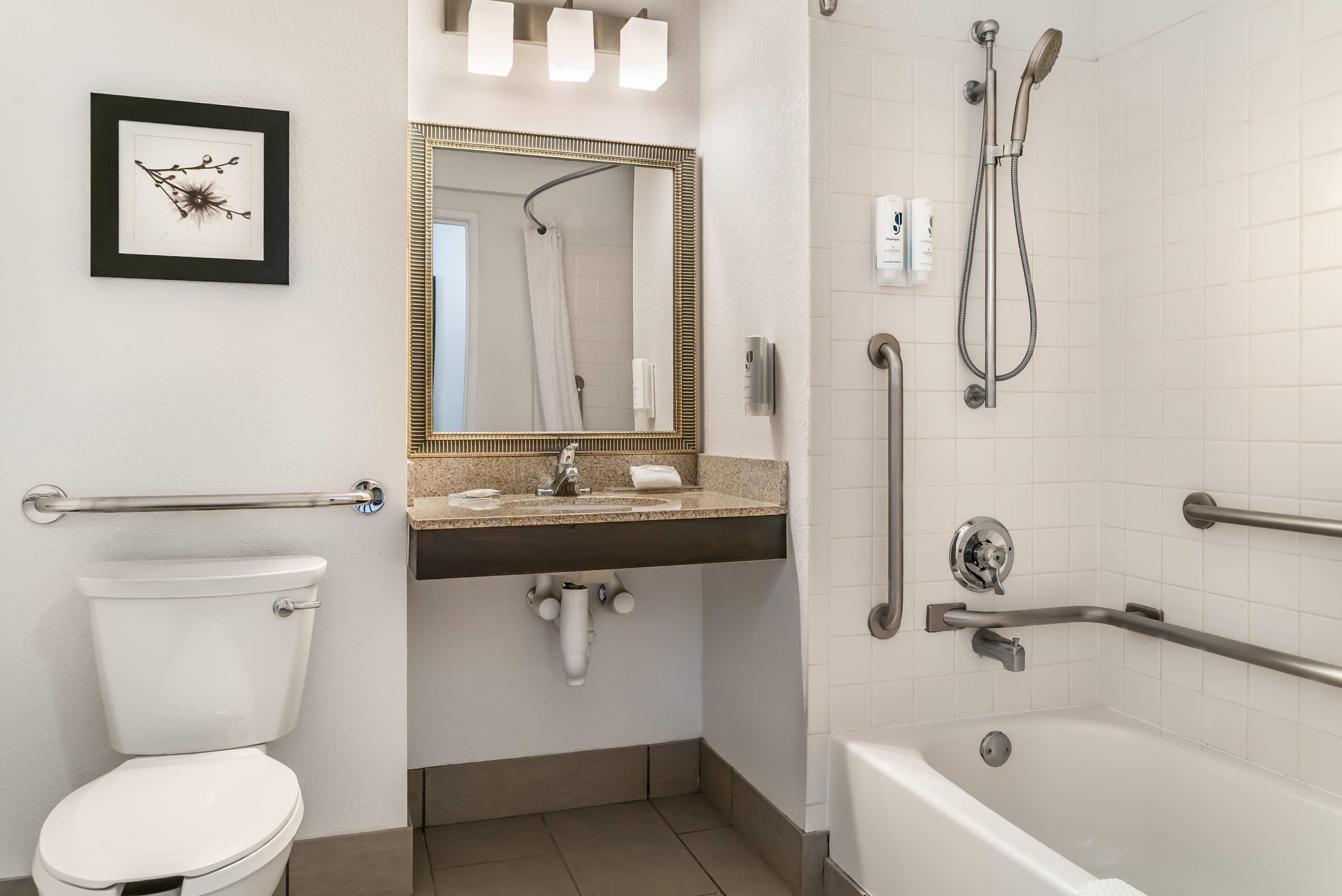 Baño con inodoro, lavamanos, espejo, ducha y barras de apoyo.