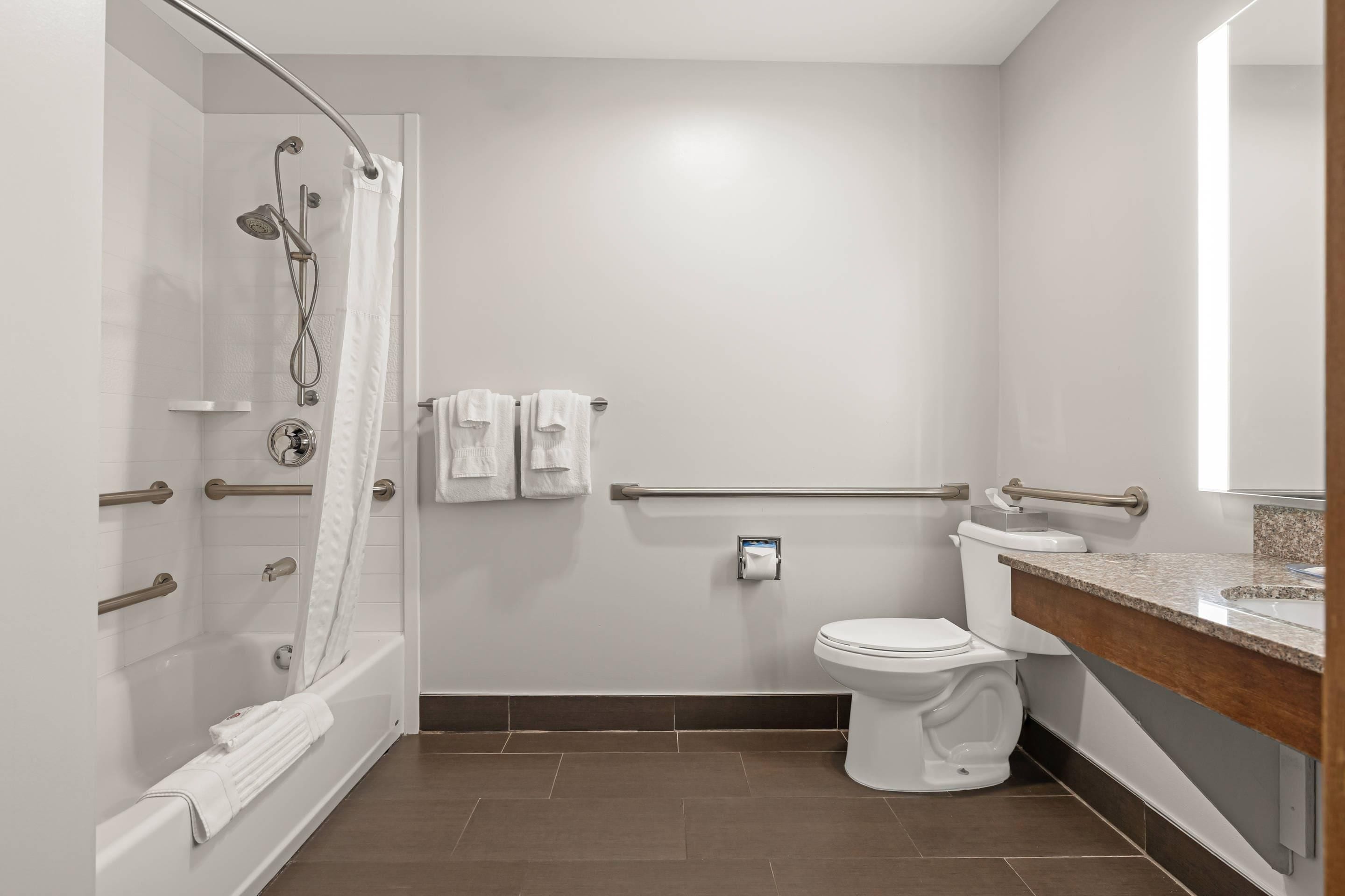 A modern bathroom with a walk-in shower, a toilet, and a sink with a granite countertop.