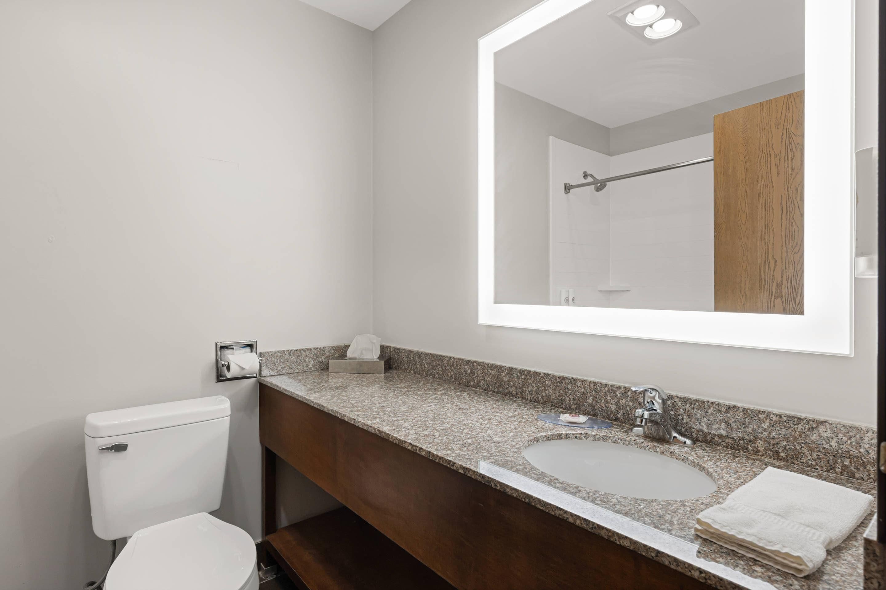A bathroom with a toilet, sink, and mirror.