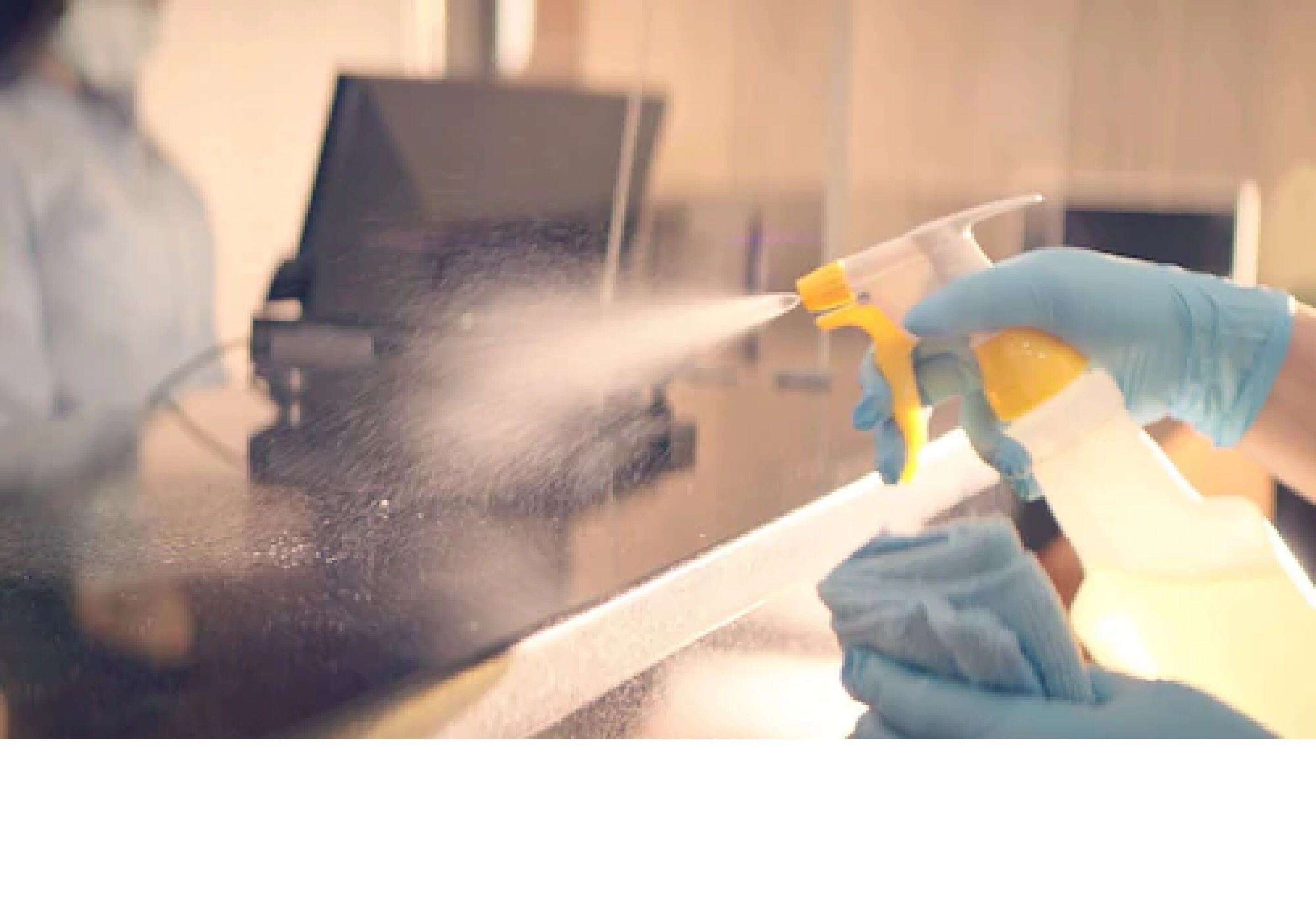 cleanliness standards