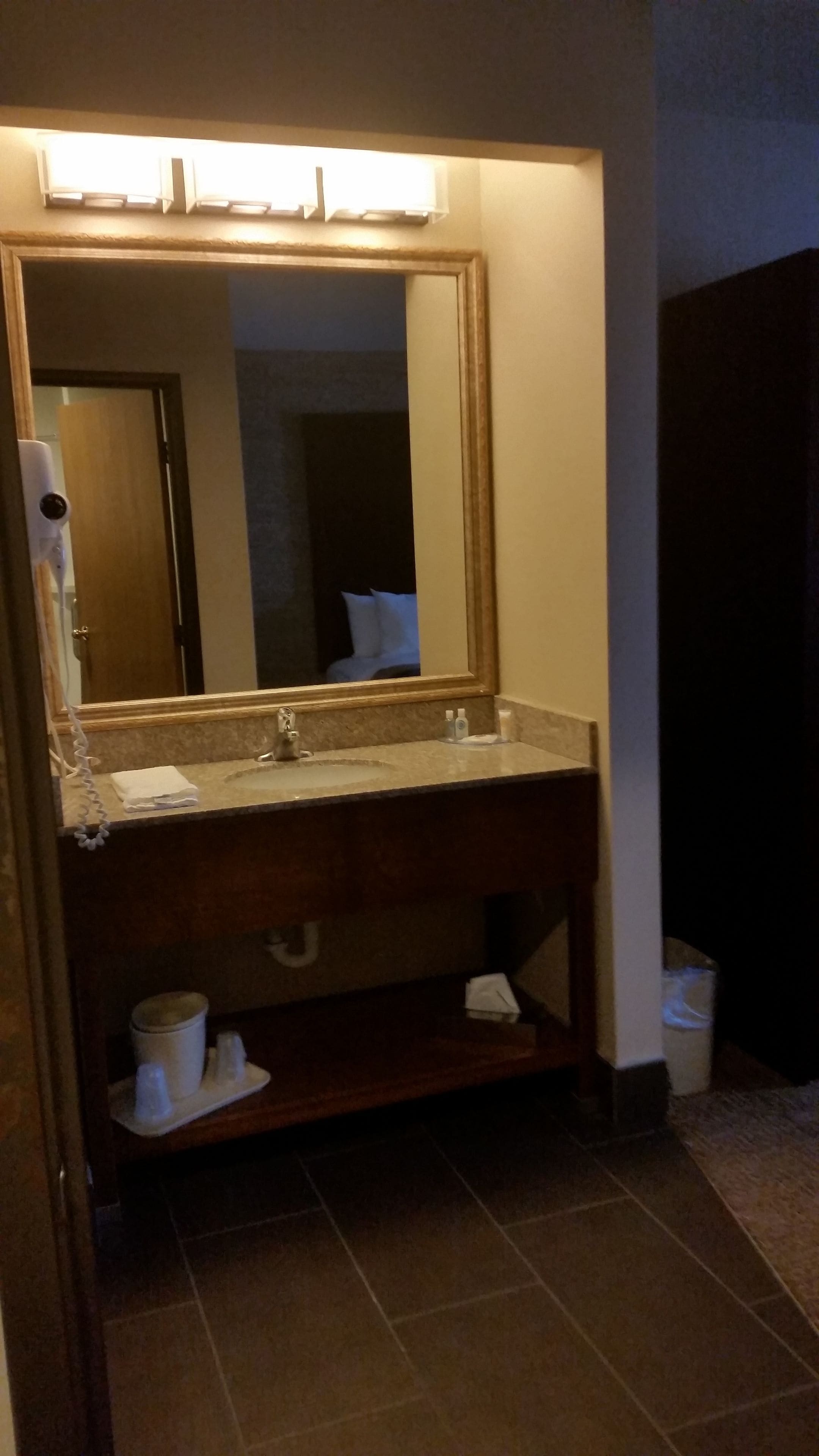 A bathroom with a large mirror, two sinks, a towel rack, and a hairdryer.