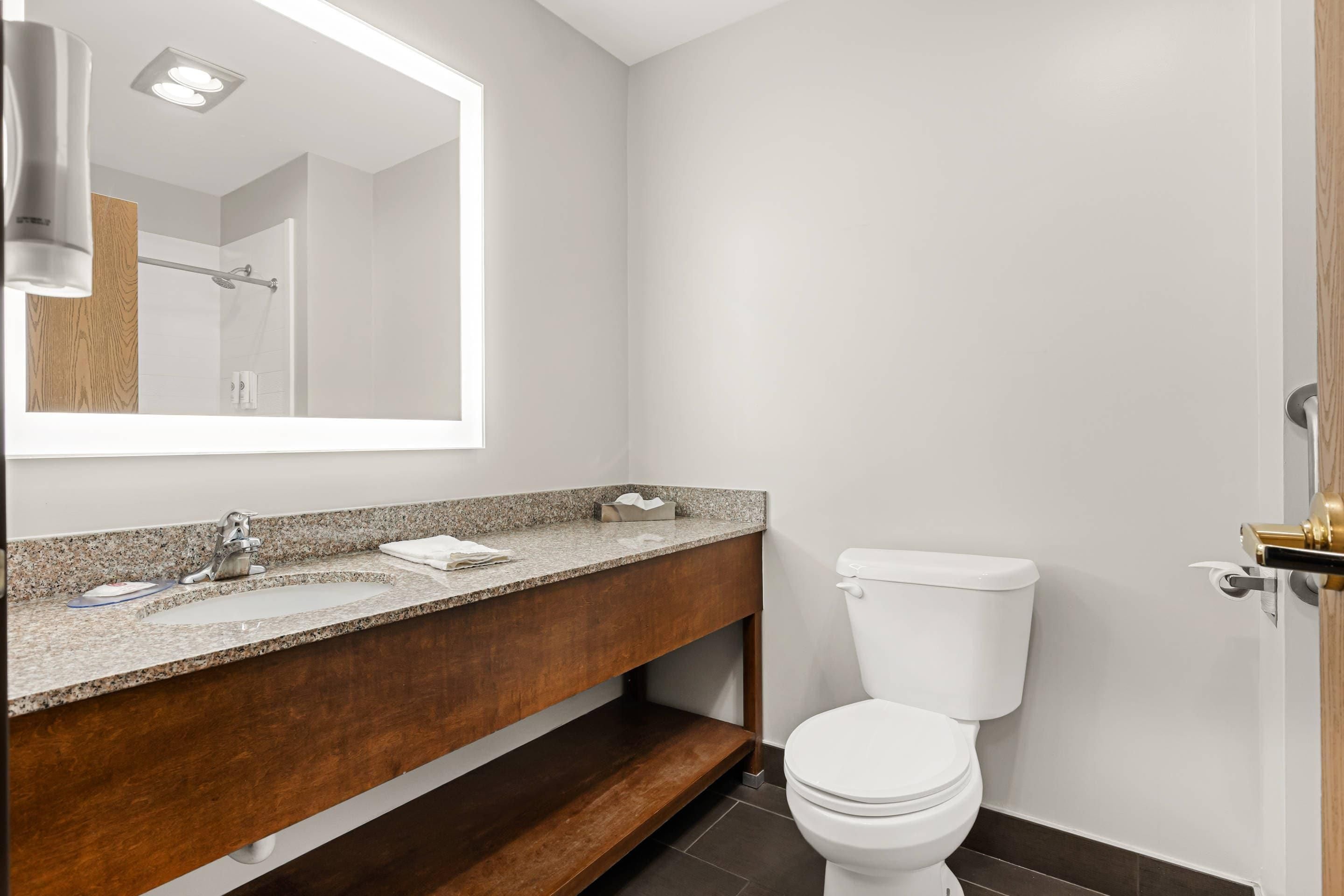 Un bagno moderno con un piano in granito, un water bianco e uno specchio grande.