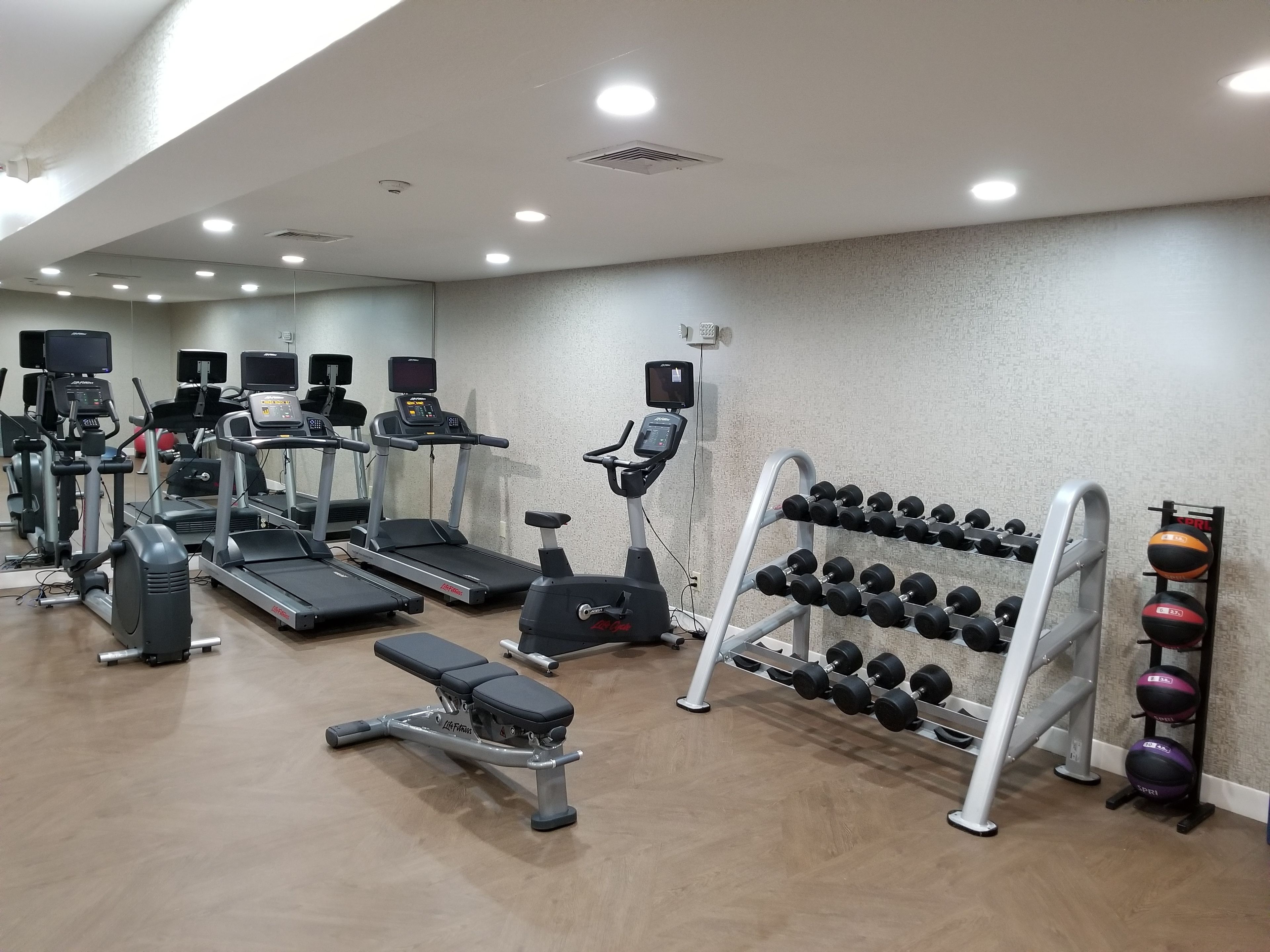 A gym with treadmills, elliptical machines, a bench press, and a rack of dumbbells.
