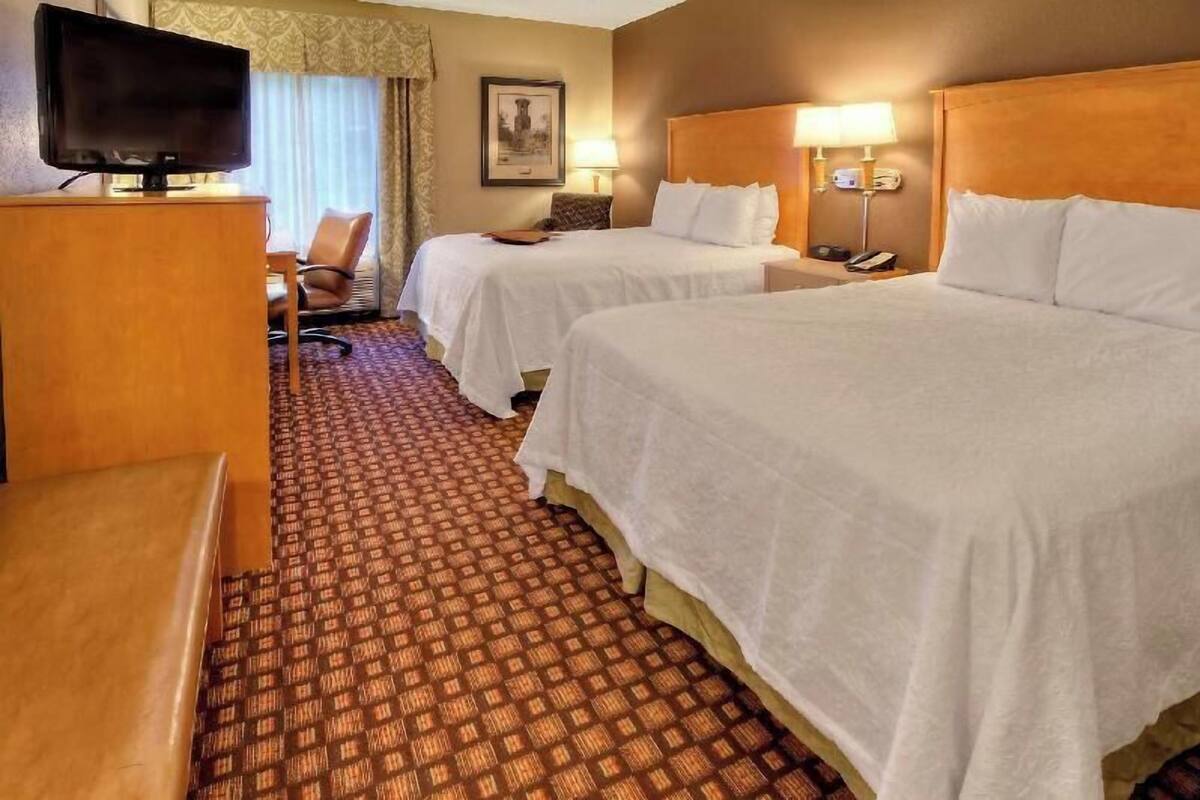 A hotel room with two beds, a desk with a television, a chair, and a patterned carpet.