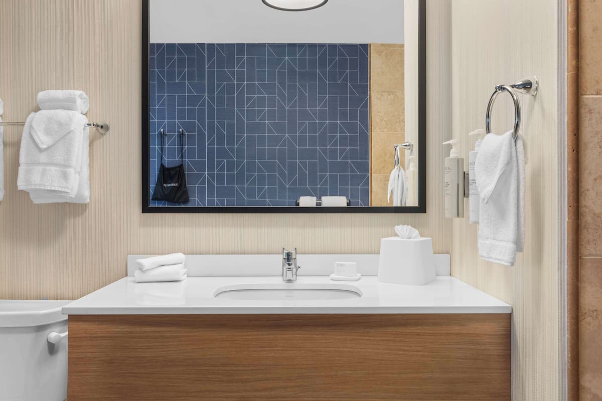 combined shower/bathtub, free toiletries, hair dryer, towels