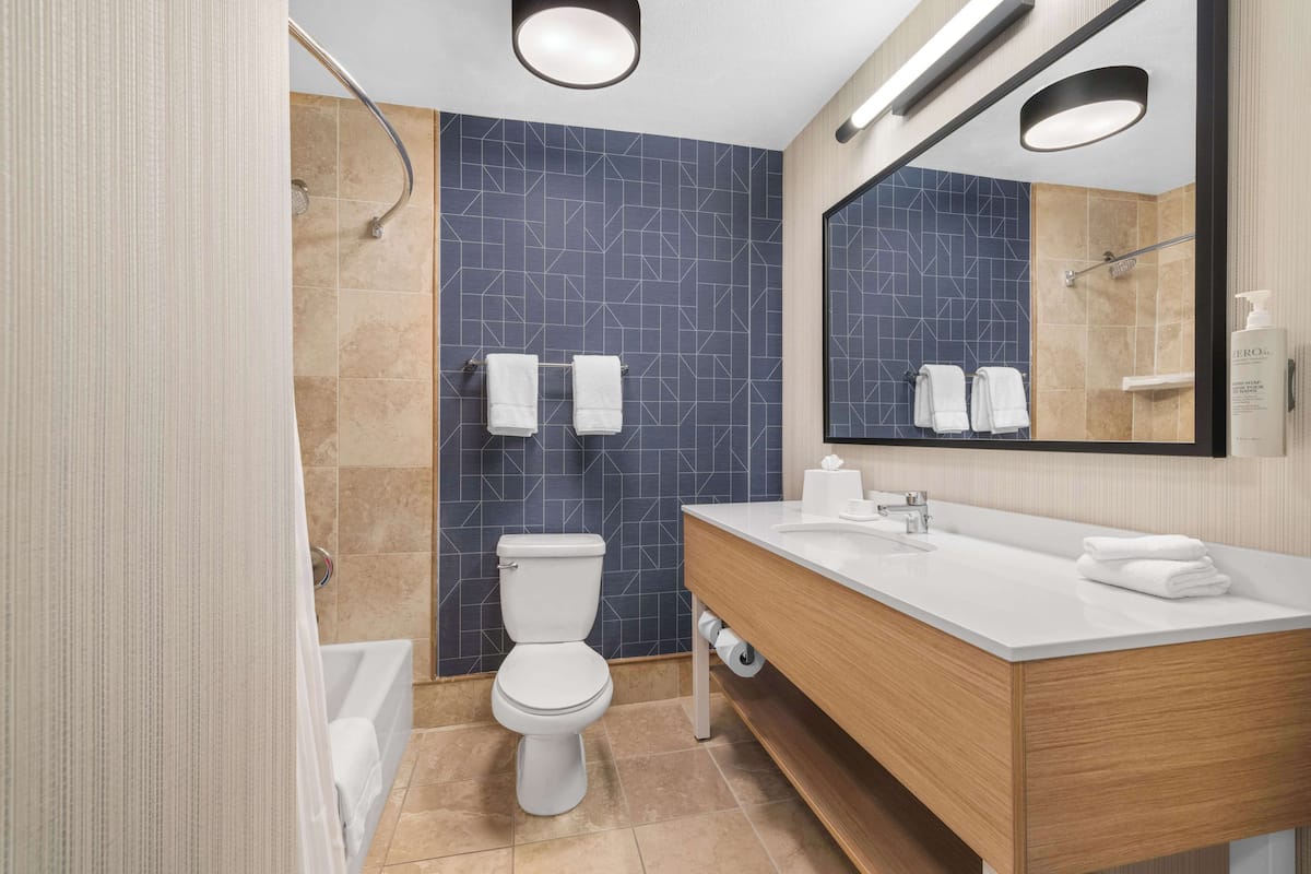 combined shower/bathtub, free toiletries, hair dryer, towels