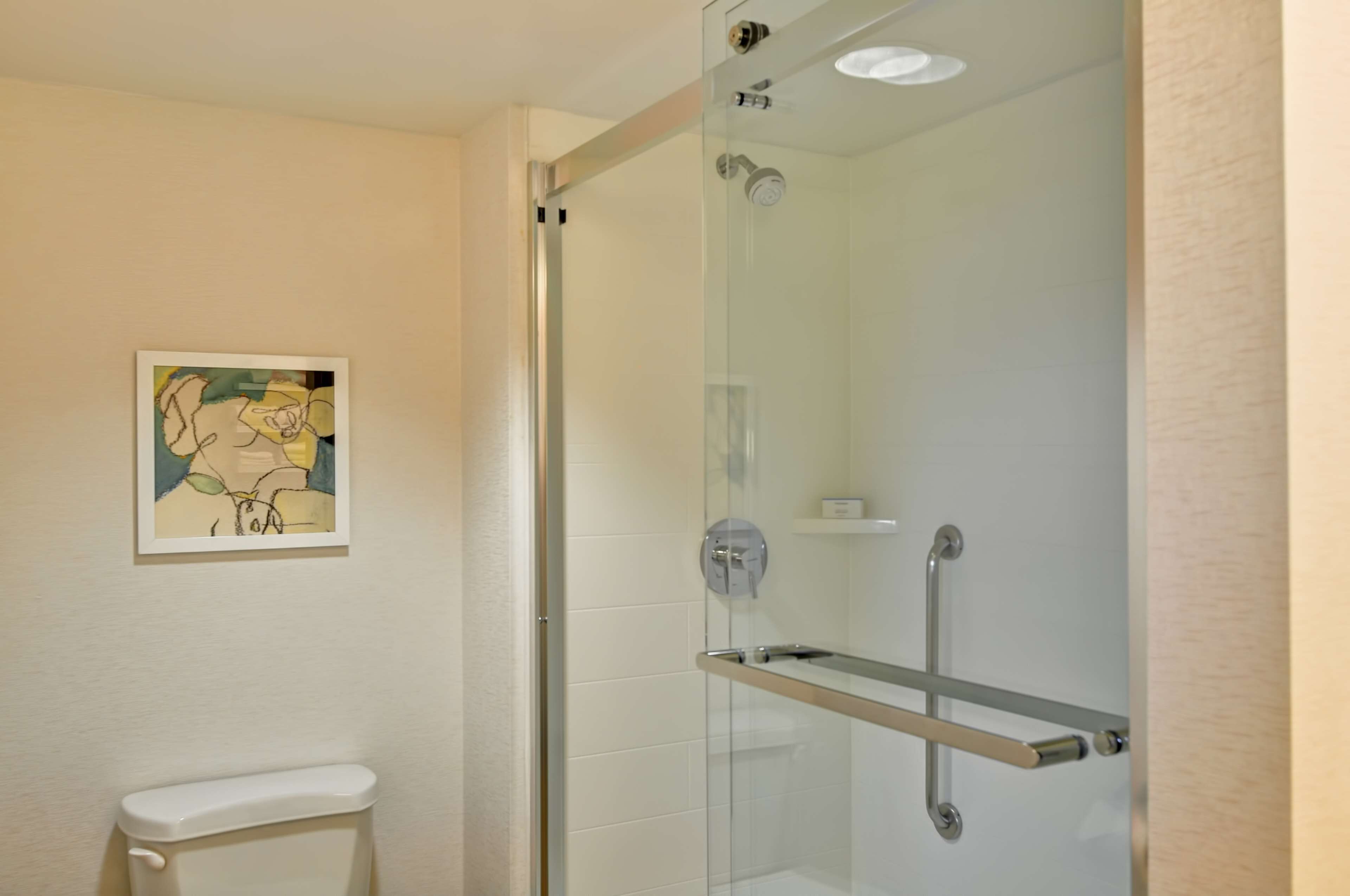 Une salle de bain moderne avec une douche à parois de verre, des toilettes et une œuvre d’art encadrée accrochée au mur.