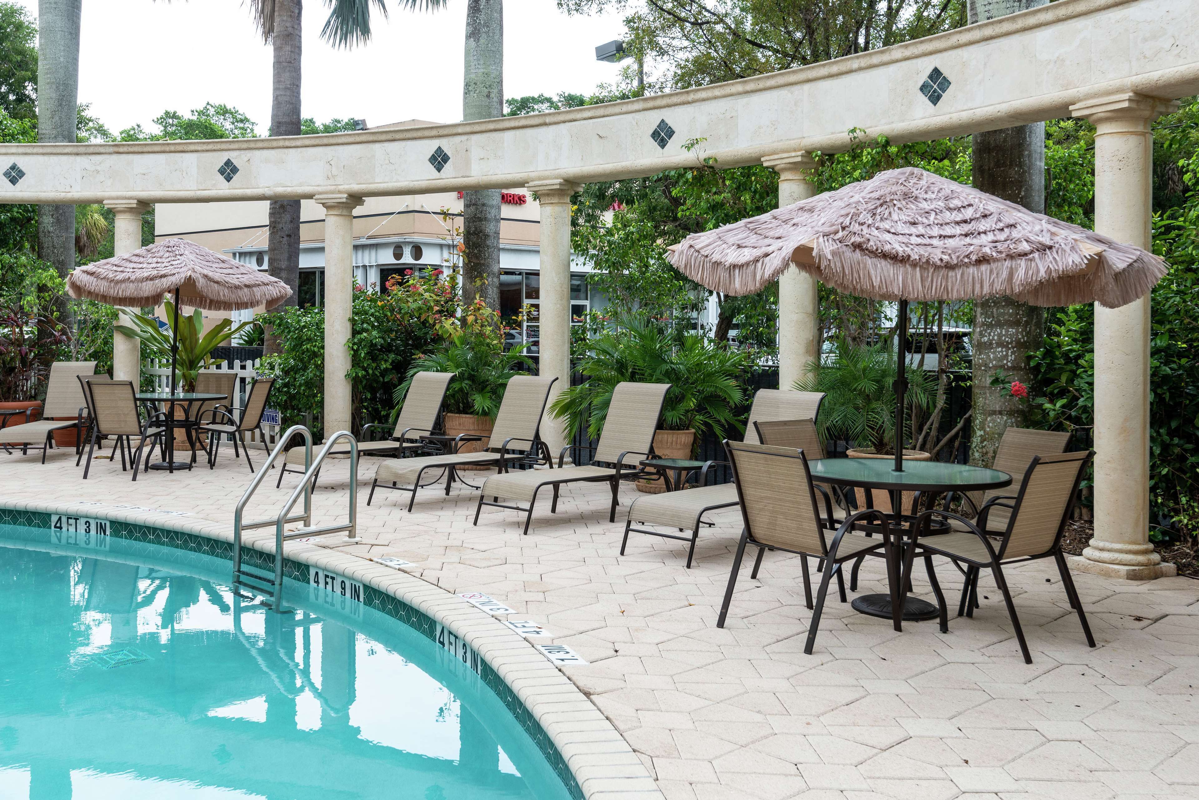 outdoor pool, pool loungers