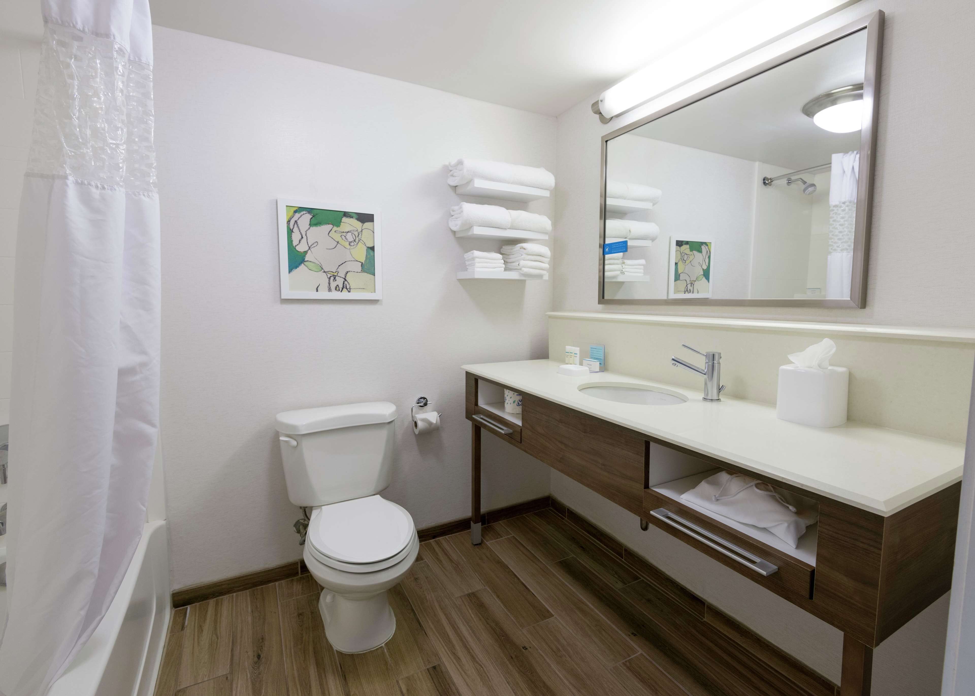 combined shower/bathtub, free toiletries, hair dryer, towels