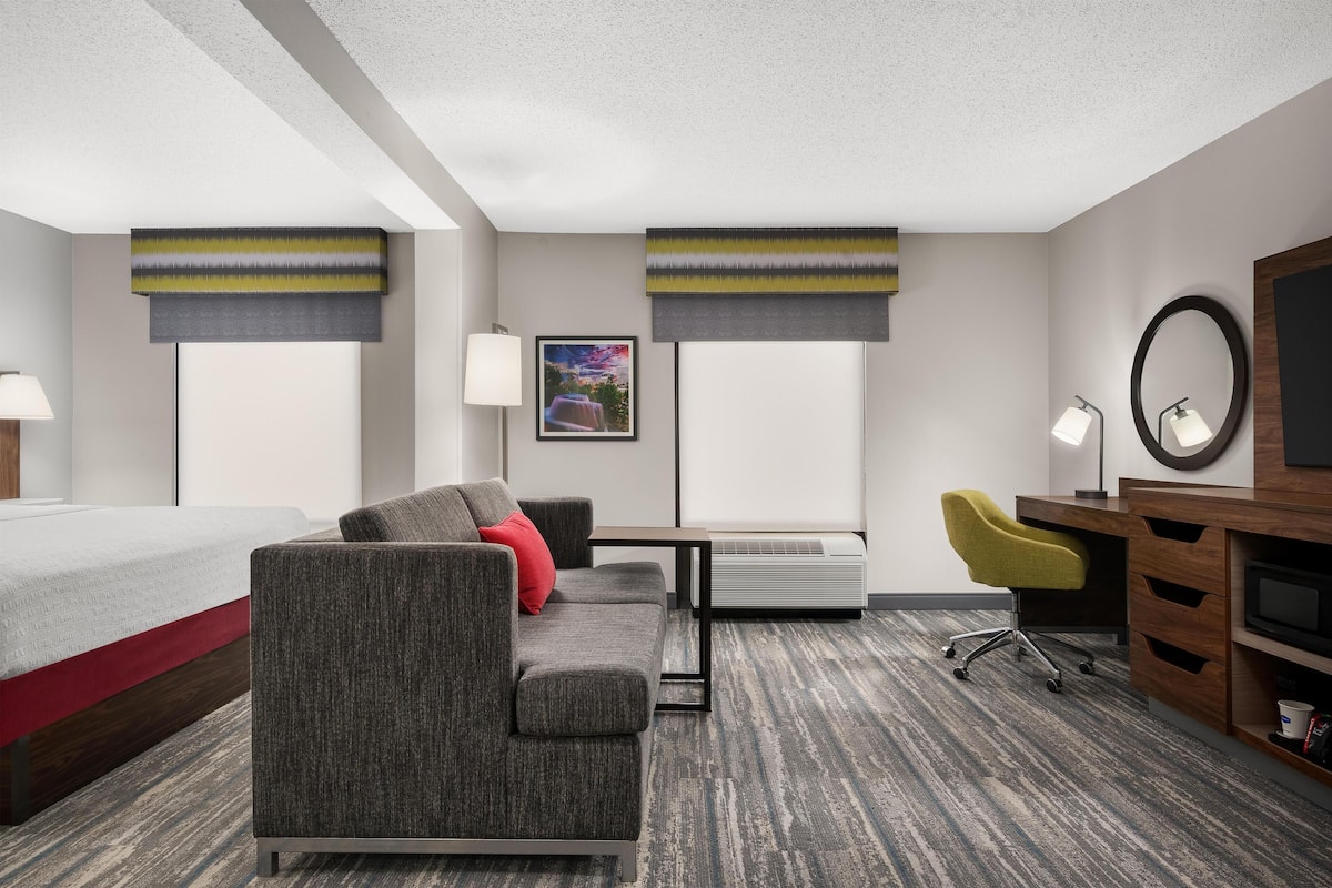 Deluxe, One King Bed, Non-Smoking | Living area | 25-inch TV with cable channels