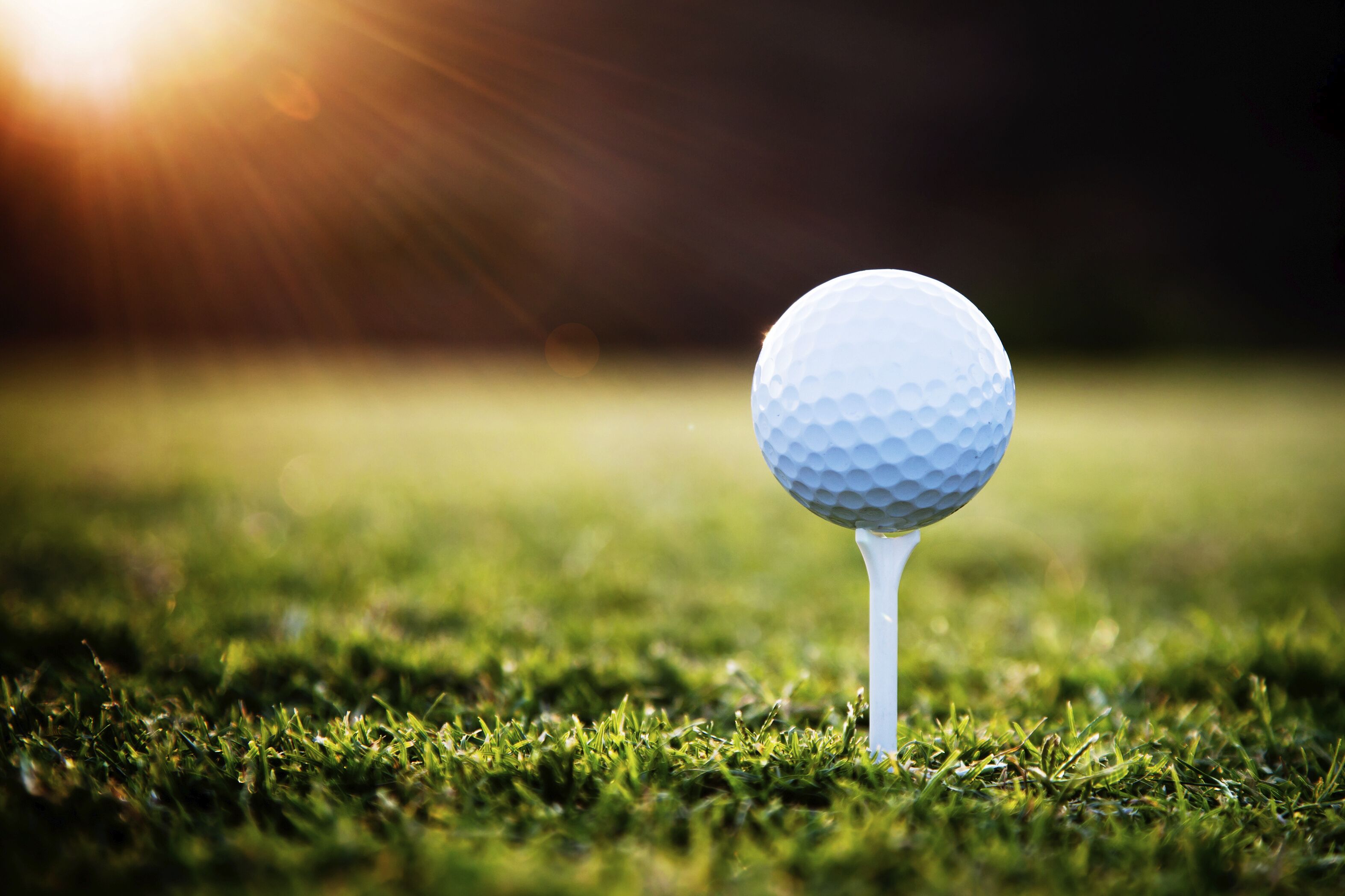 A golf ball on a tee on a grassy field.