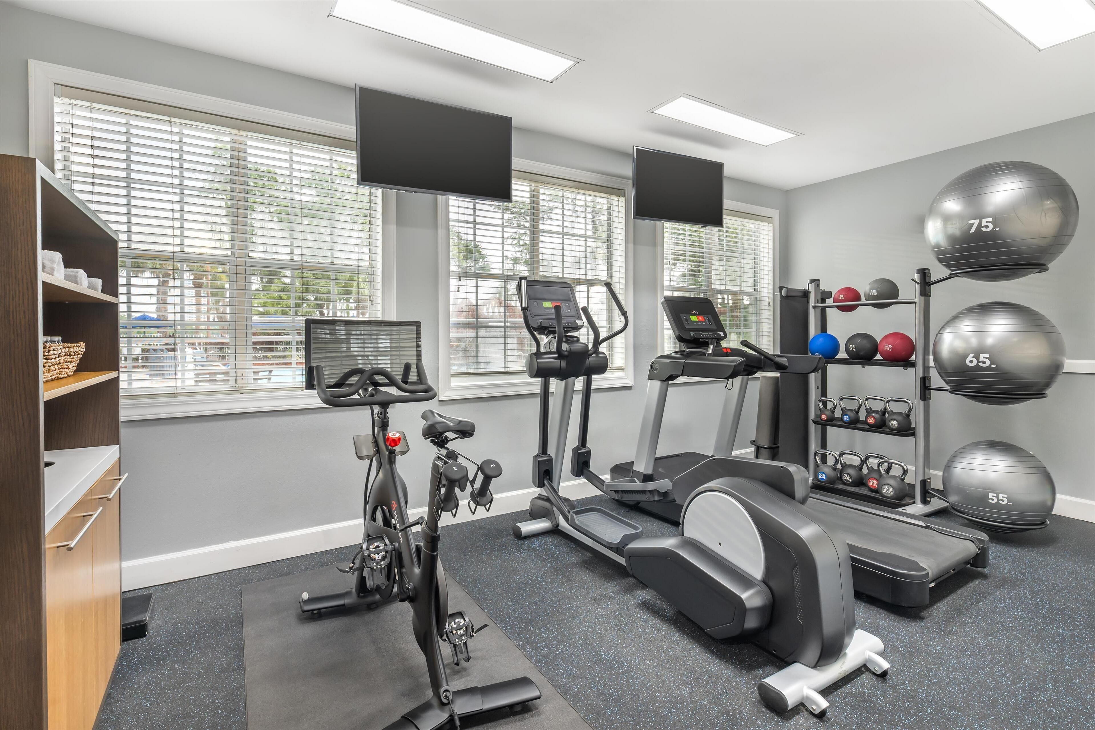 A modern gym with cardio machines, dumbbells, and exercise balls.