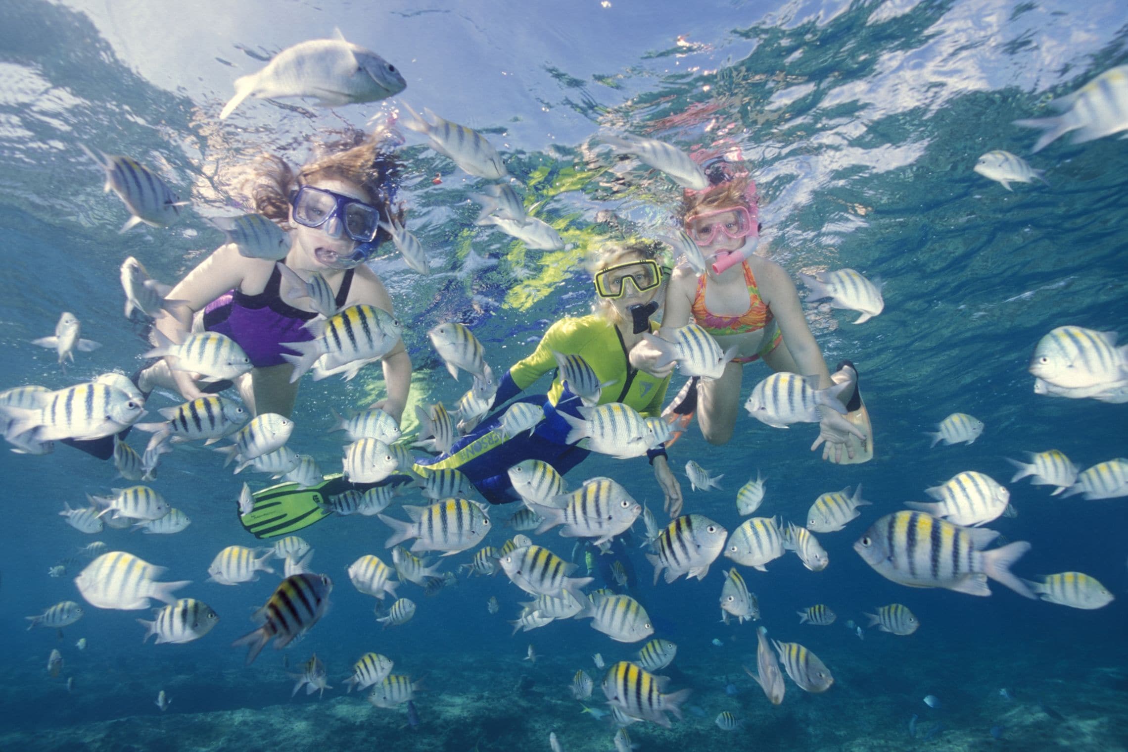 Dos personas haciendo snorkel con un banco de peces.
