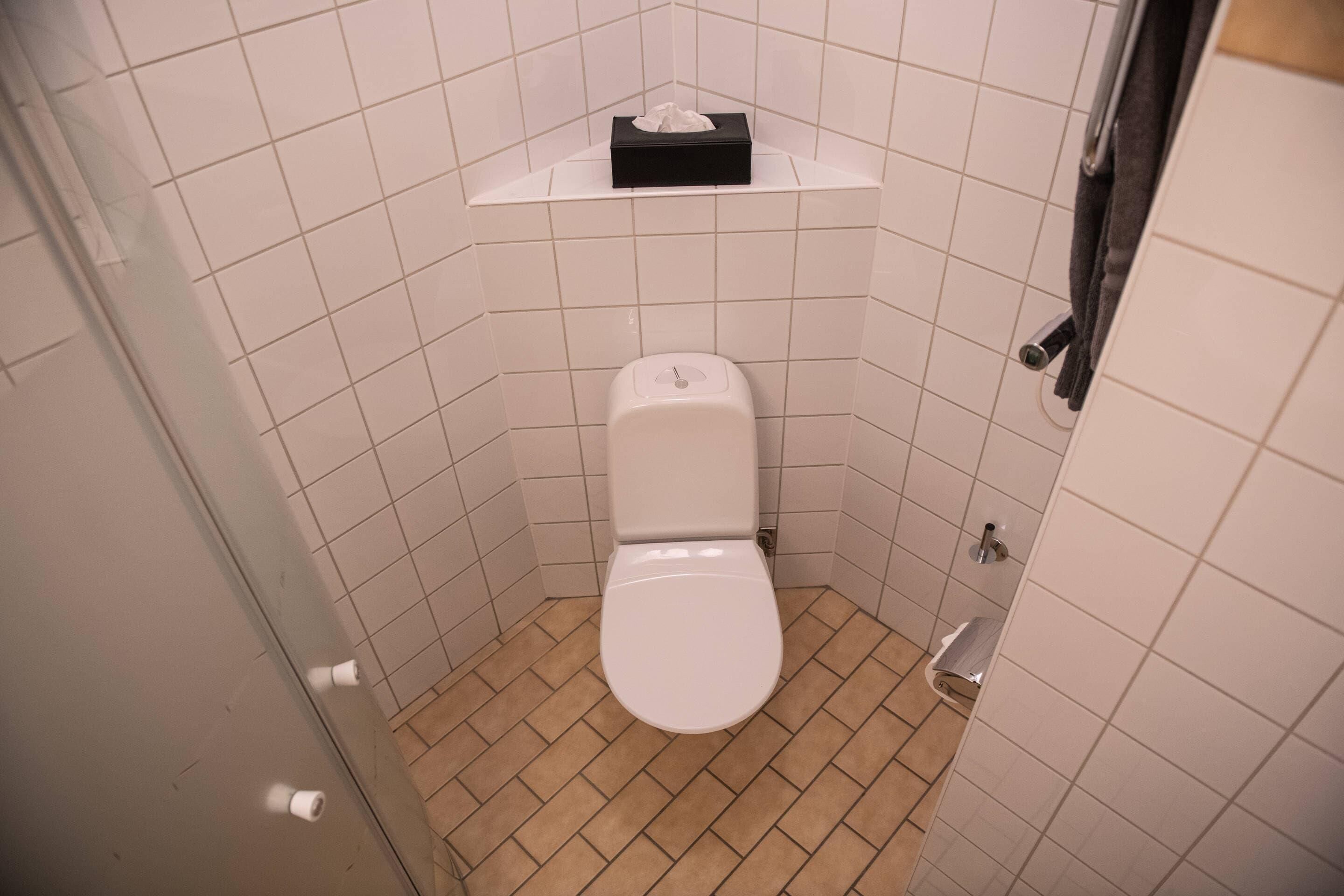 Une petite salle de bain carrelée, avec des toilettes blanches, une boîte de mouchoirs posée sur une étagère et une serviette accrochée au mur.