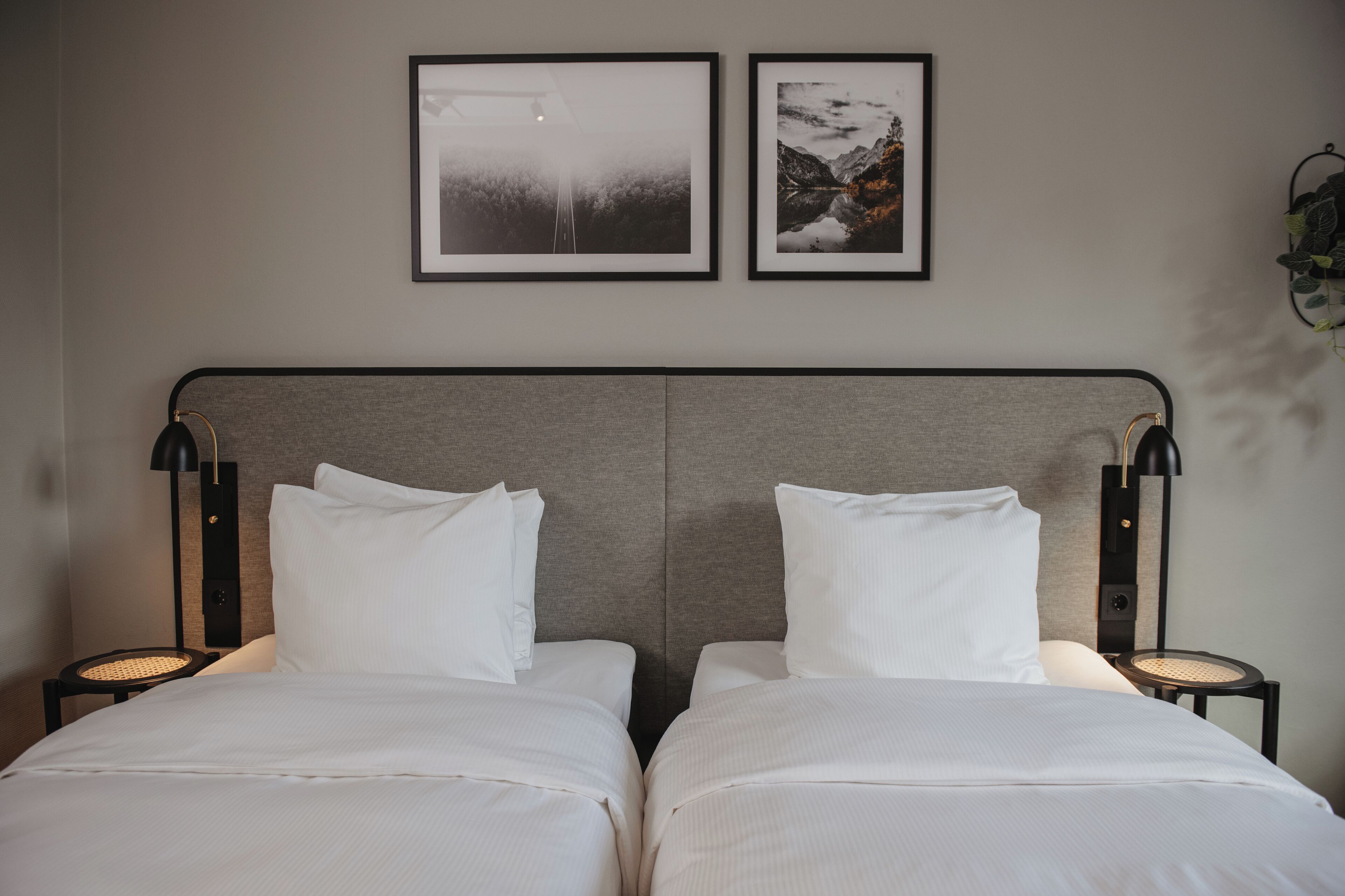 standard twin room, 2 single beds | desk, cots/infant beds, bed sheets