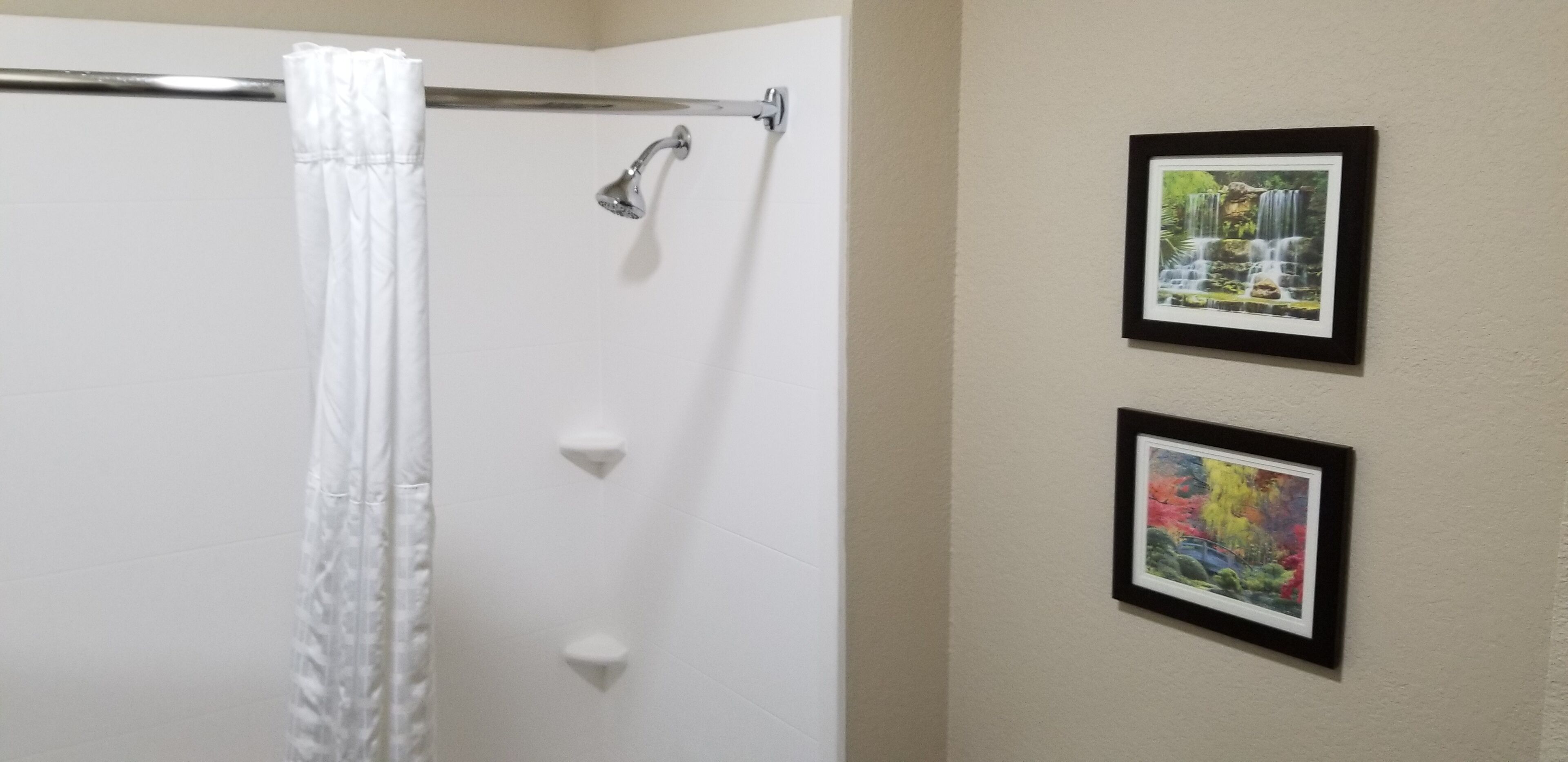 Un baño con cortina de ducha, cabezal de ducha y dos cuadros en la pared.