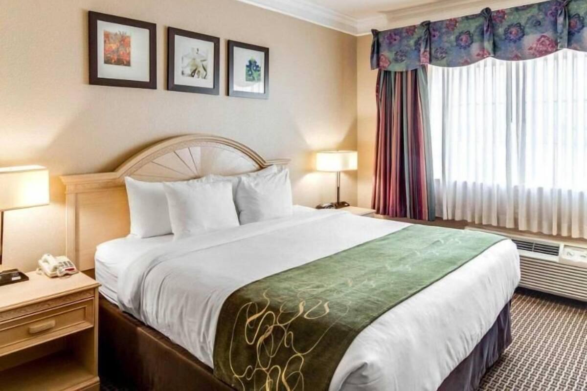 Hotelkamer met een bed, bedlampen, een telefoon, een raam met gordijnen, en ingelijste foto's aan de muur.