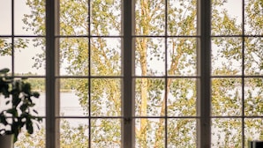 A room with a large window overlooking a body of water and trees. There is a table with glasses and a plant on it. - Hotel J, Stockholm, a Member of Design Hotels (Nacka)