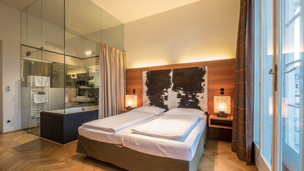 Deluxe Double Room | Hypo-allergenic bedding available, WiFi (free) - SHS Hotel Papageno (Vienna)