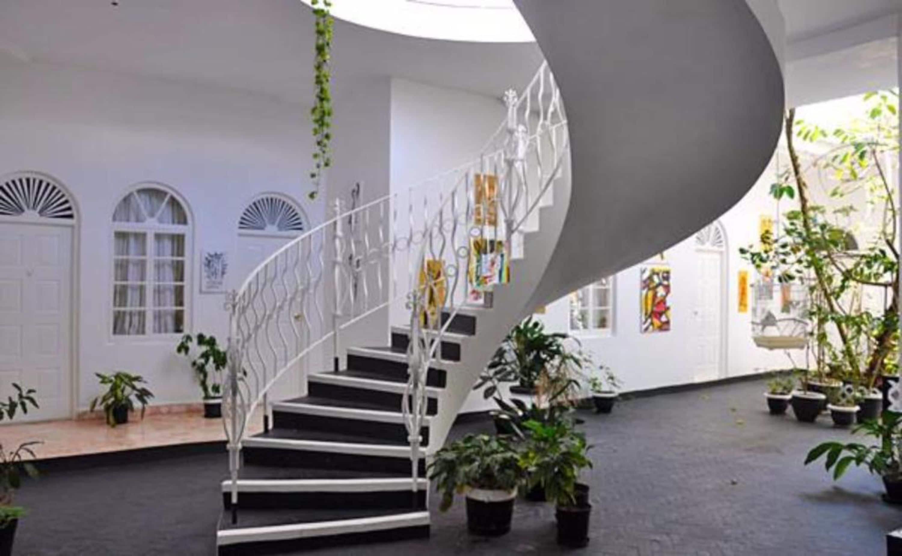 A modern interior with a spiral staircase, white walls, and potted plants.