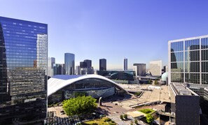 Junior Suite, 1 King Bed, View (180 degrees view) | City view