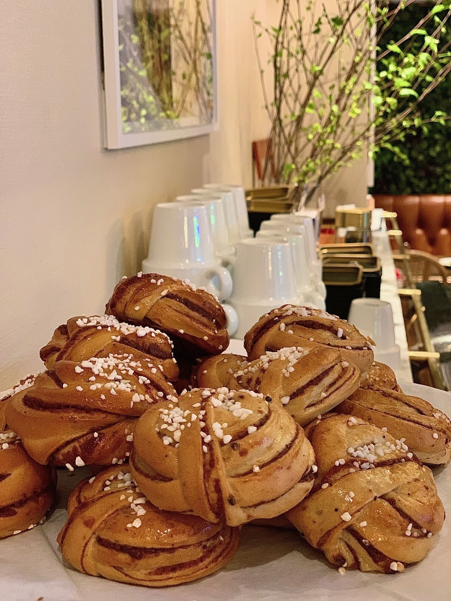 Foto - Crystal Plaza Hotel