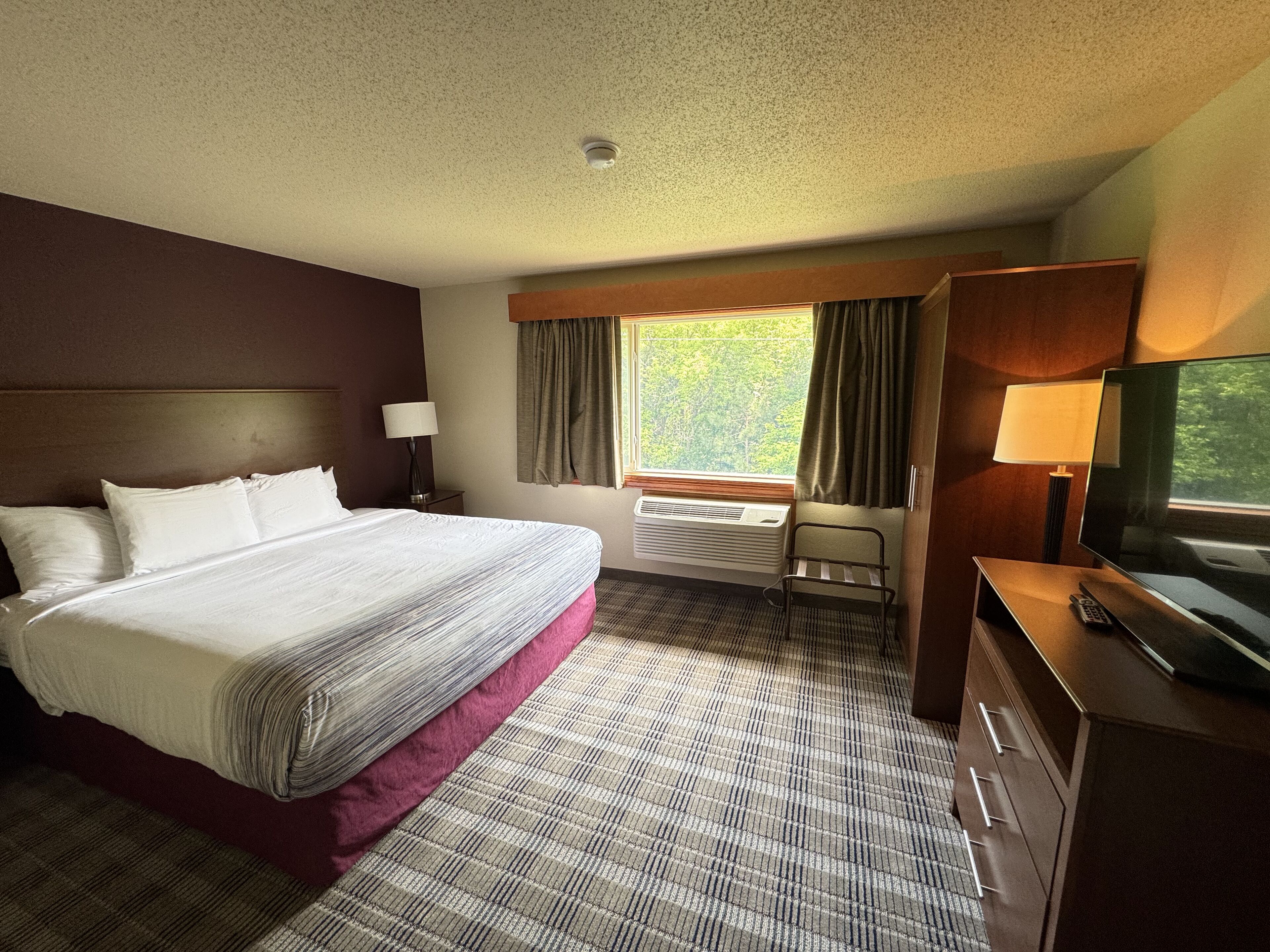 deluxe room, 1 king bed, non smoking | premium bedding, individually furnished, desk, laptop workspace