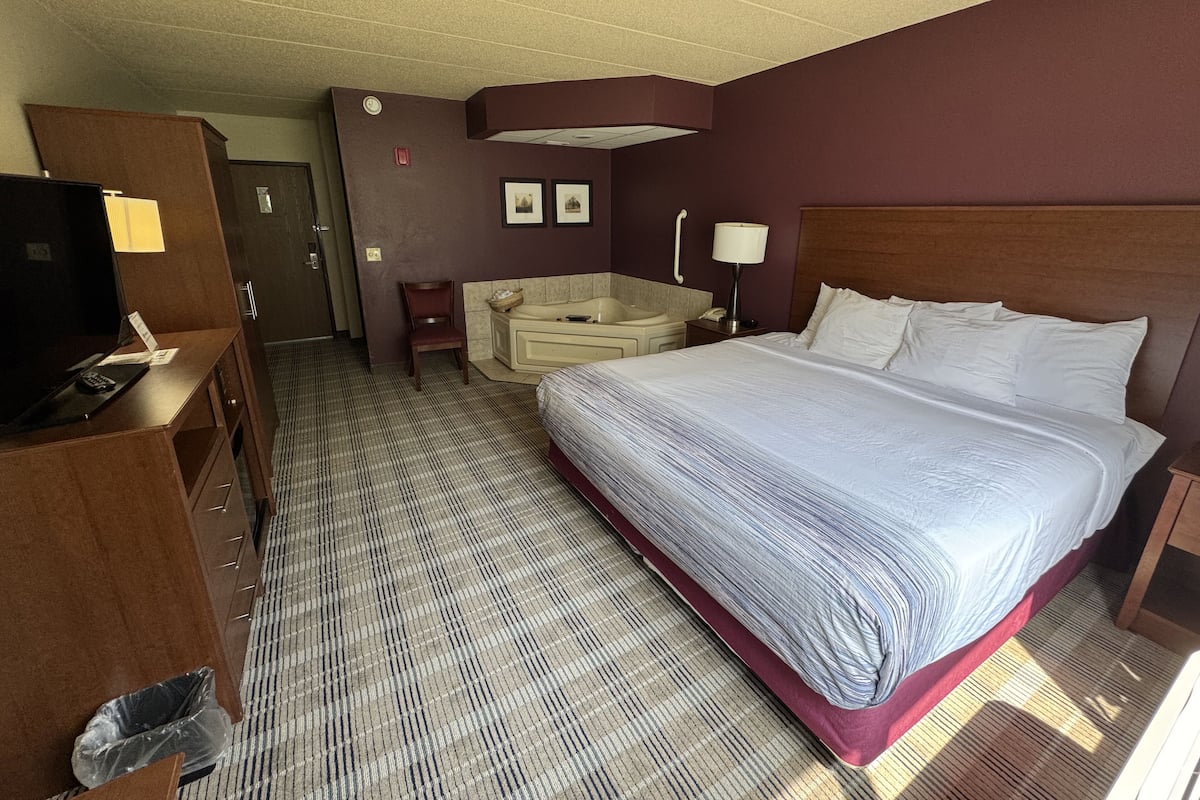 Deluxe Room, 1 King Bed, Non Smoking | Premium bedding, individually furnished, desk, laptop workspace