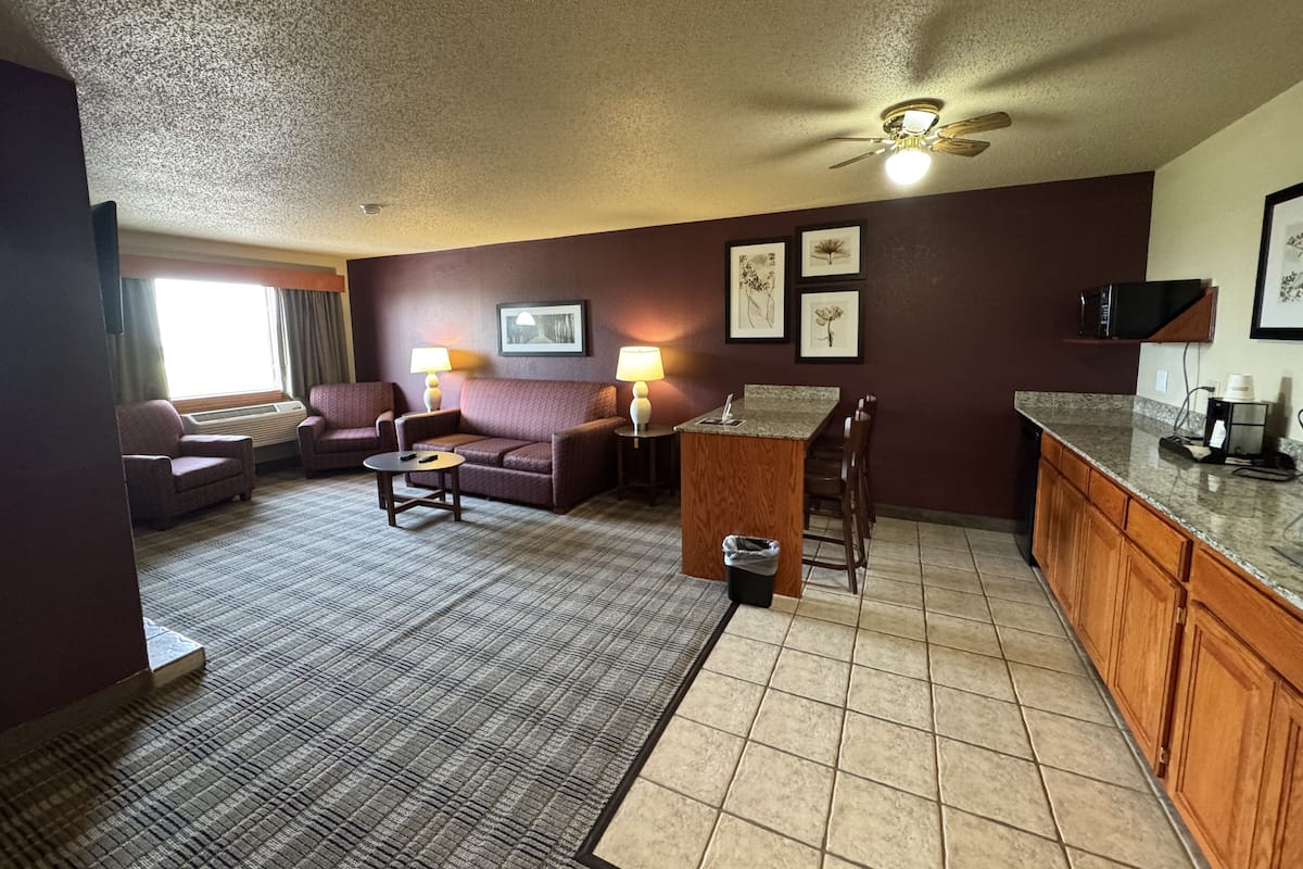 Premium Suite, 1 Bedroom, Non Smoking (1 King Bed) | Premium bedding, individually furnished, desk, laptop workspace