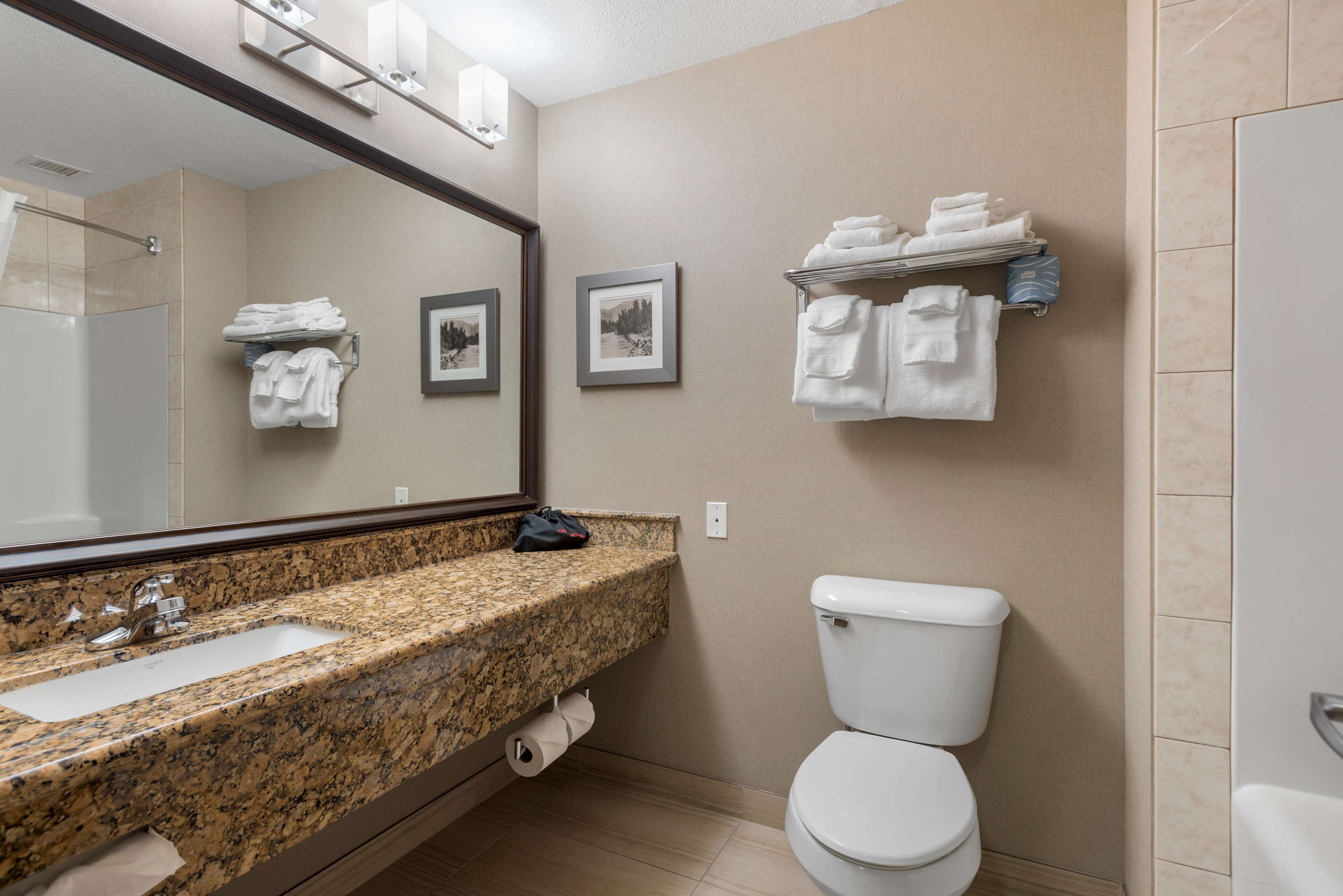 combined shower/bathtub, free toiletries, hair dryer, towels