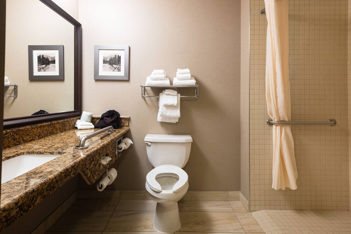 standard room, 1 king bed, accessible, fireplace | bathroom shower