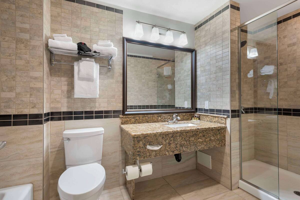 combined shower/bathtub, free toiletries, hair dryer, towels