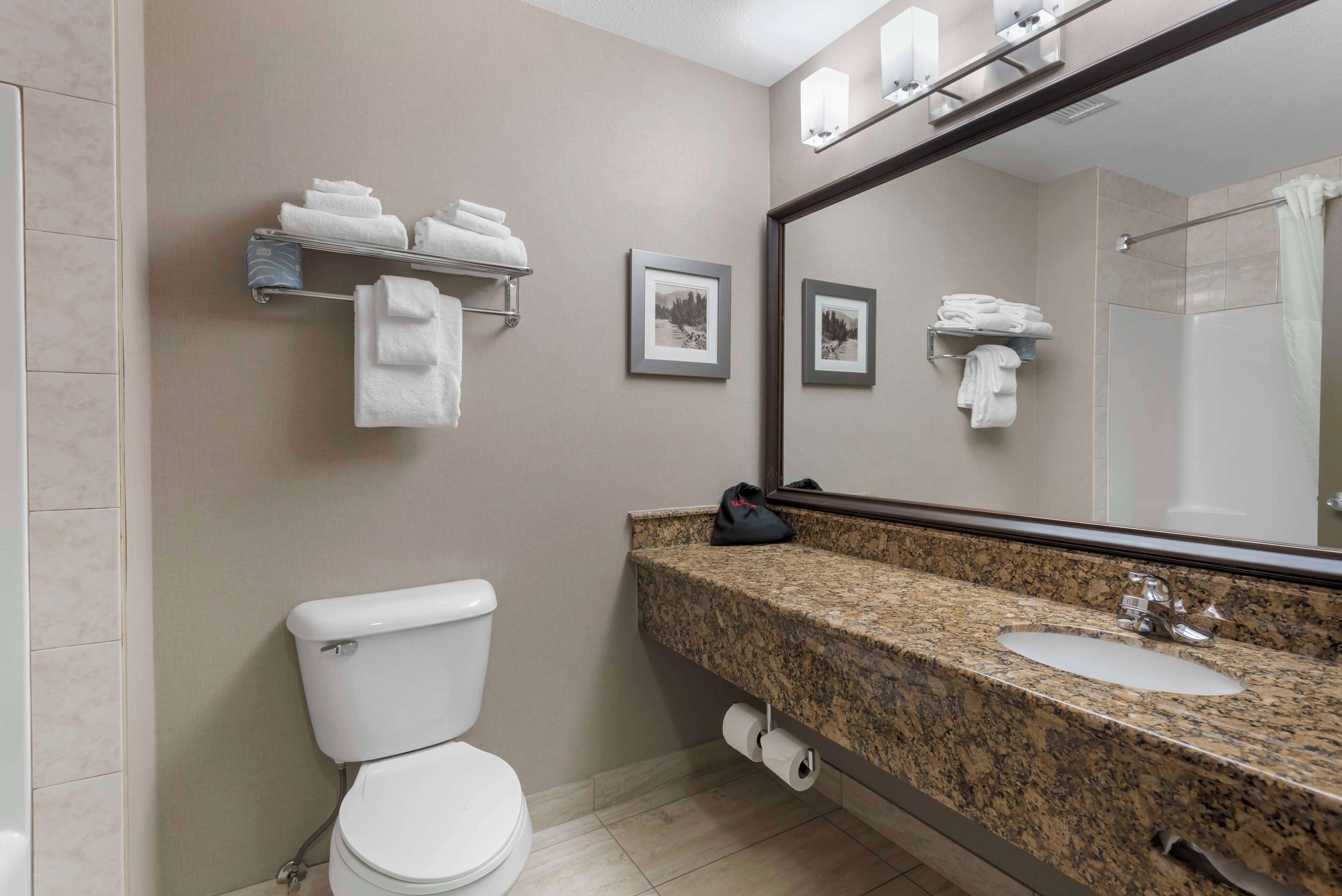 combined shower/bathtub, free toiletries, hair dryer, towels