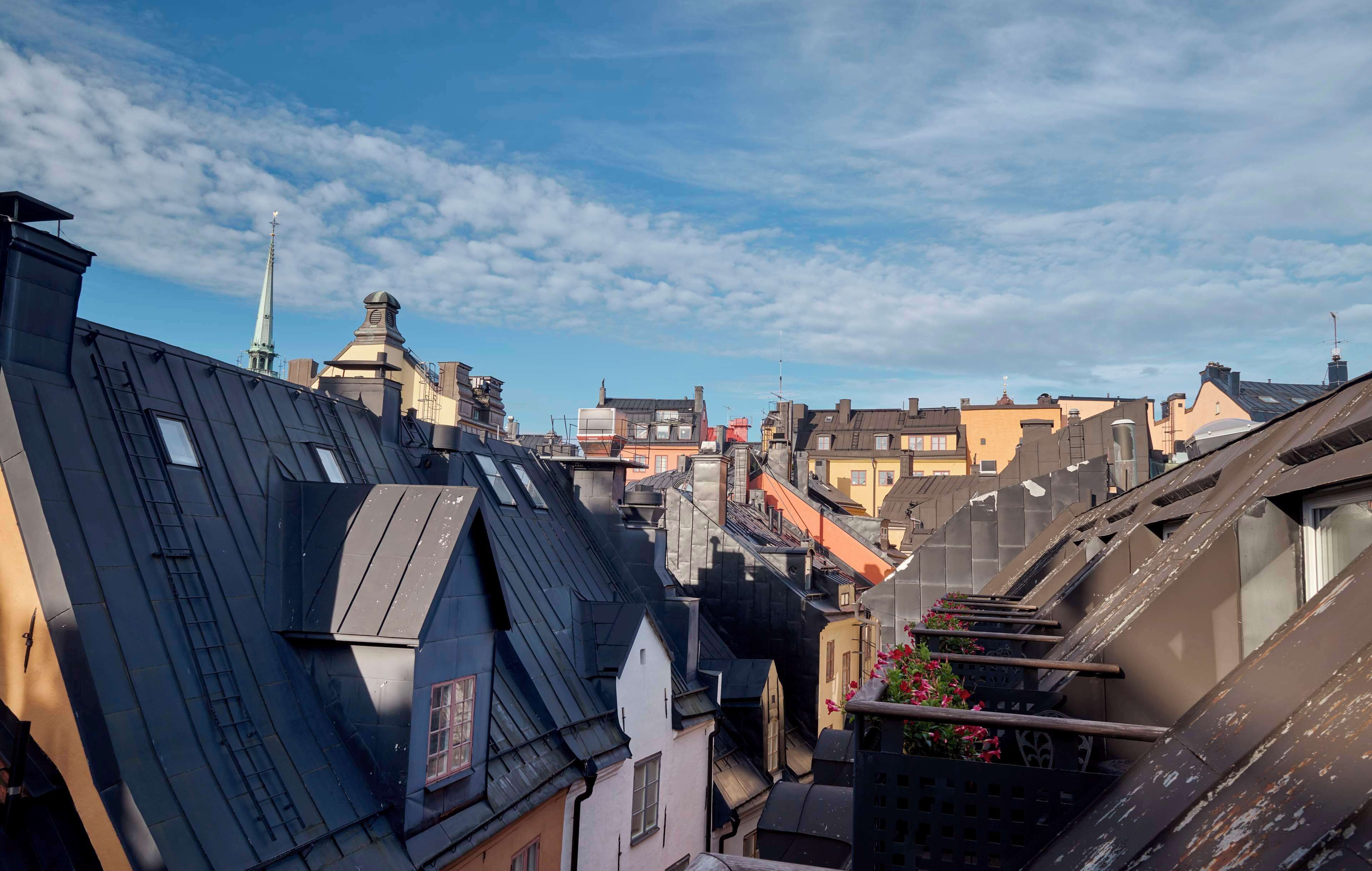 Une zone urbaine densément peuplée, avec divers toits d’immeubles et, au loin, le clocher imposant d’une église.