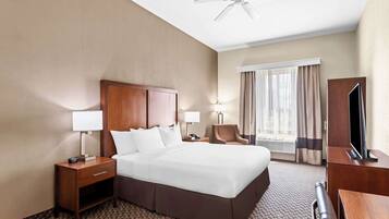 Efficiency, Room, 1 King Bed, Non Smoking