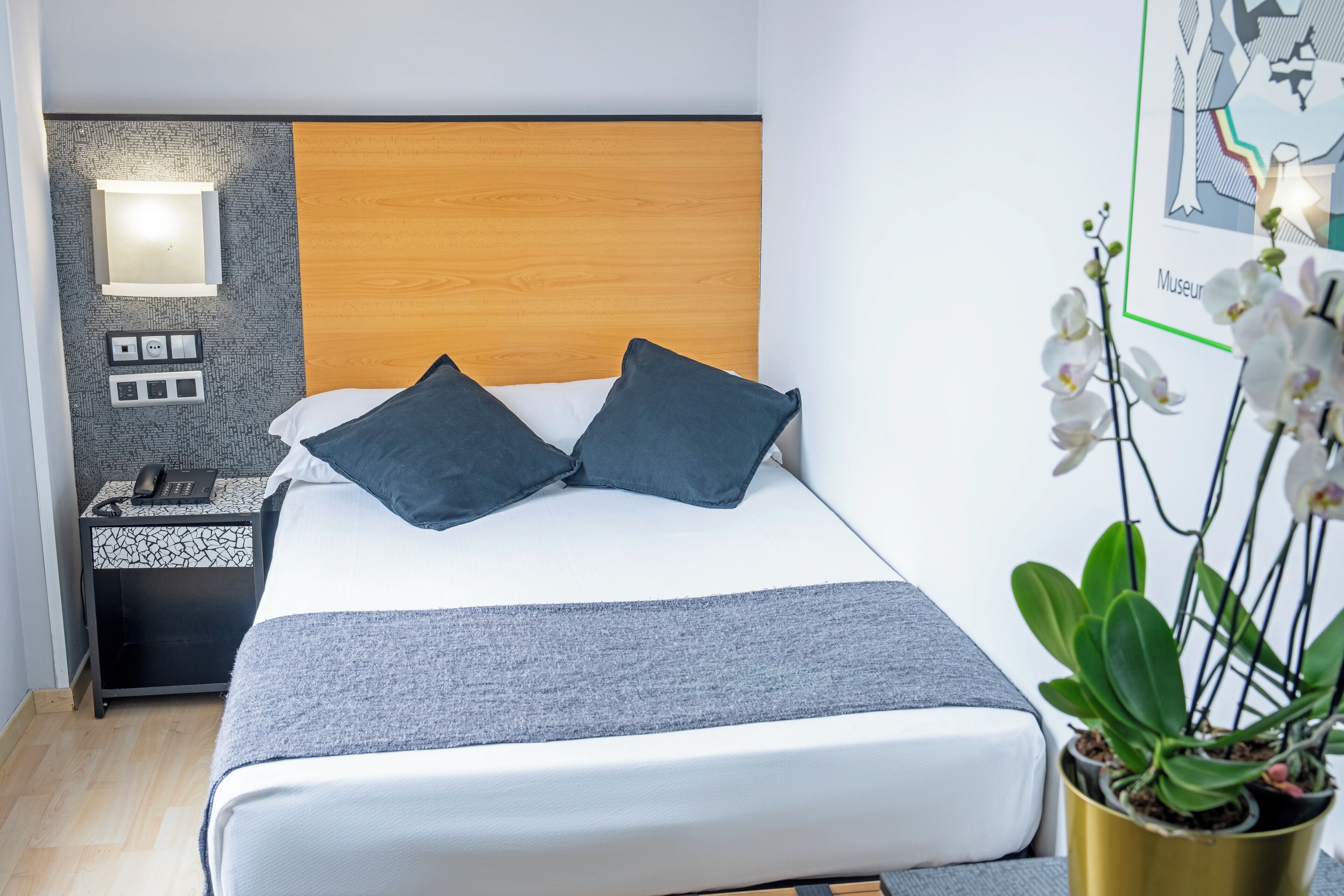 A modern hotel room with a wooden headboard, a bed with grey bedding, a bedside table with a phone, a wall-mounted light, and a potted orchid plant.