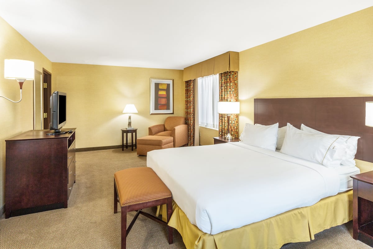 Habitación de hotel con una cama grande, un escritorio con televisor, una silla, una lámpara y un cuadro en la pared.